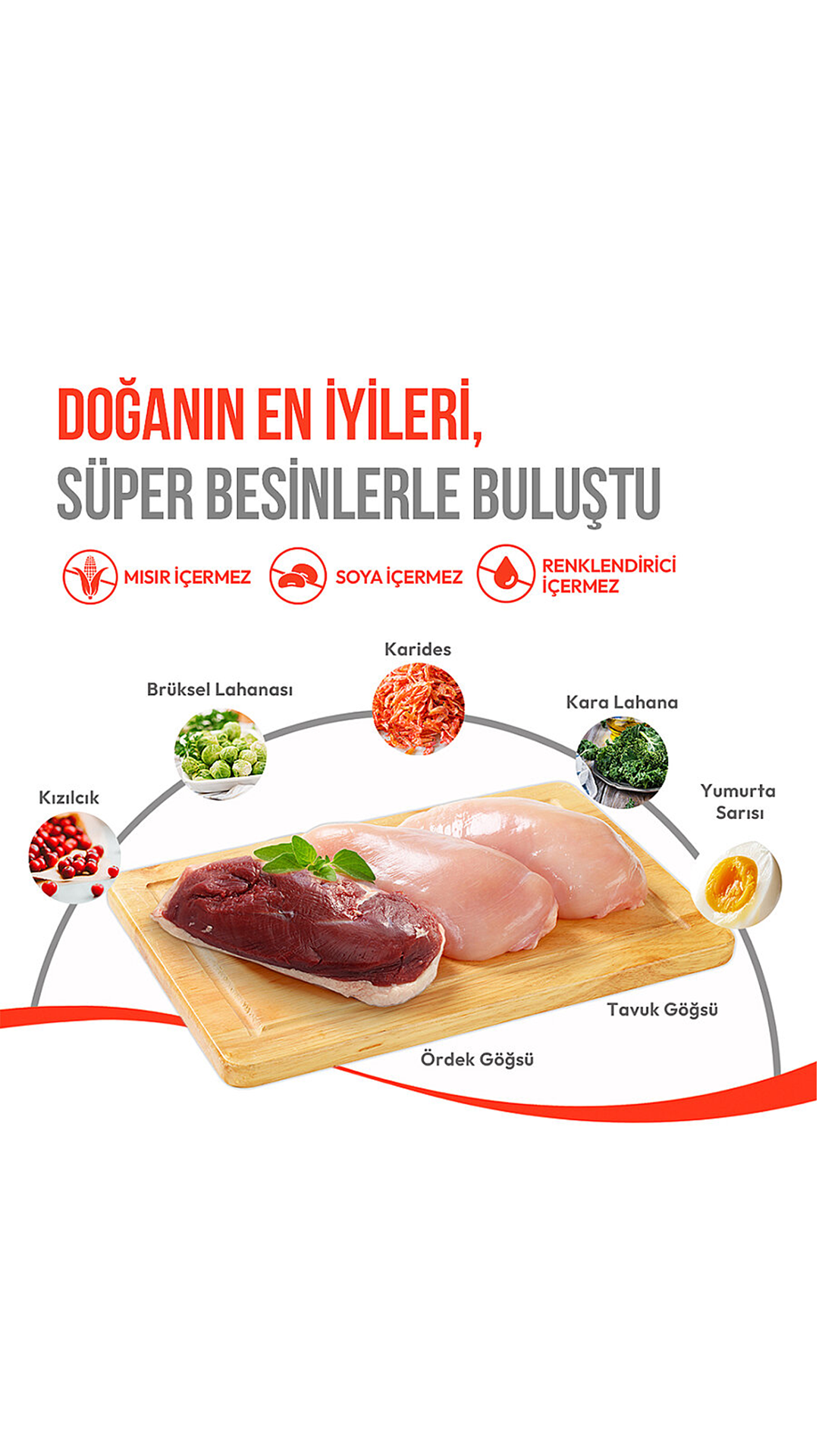 WANPY DONDURULARAK KURU FLUFFY TAVUK KEDİOTU 30GR