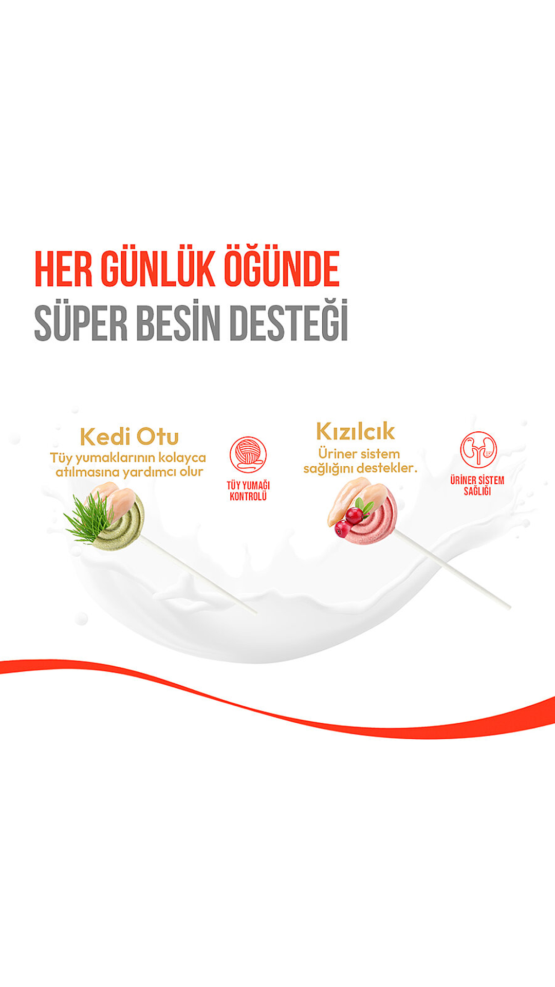 Wanpy Kediler İçin Dondurularak Kurutulmuş Lolipop Kedi Otu 1.4gr