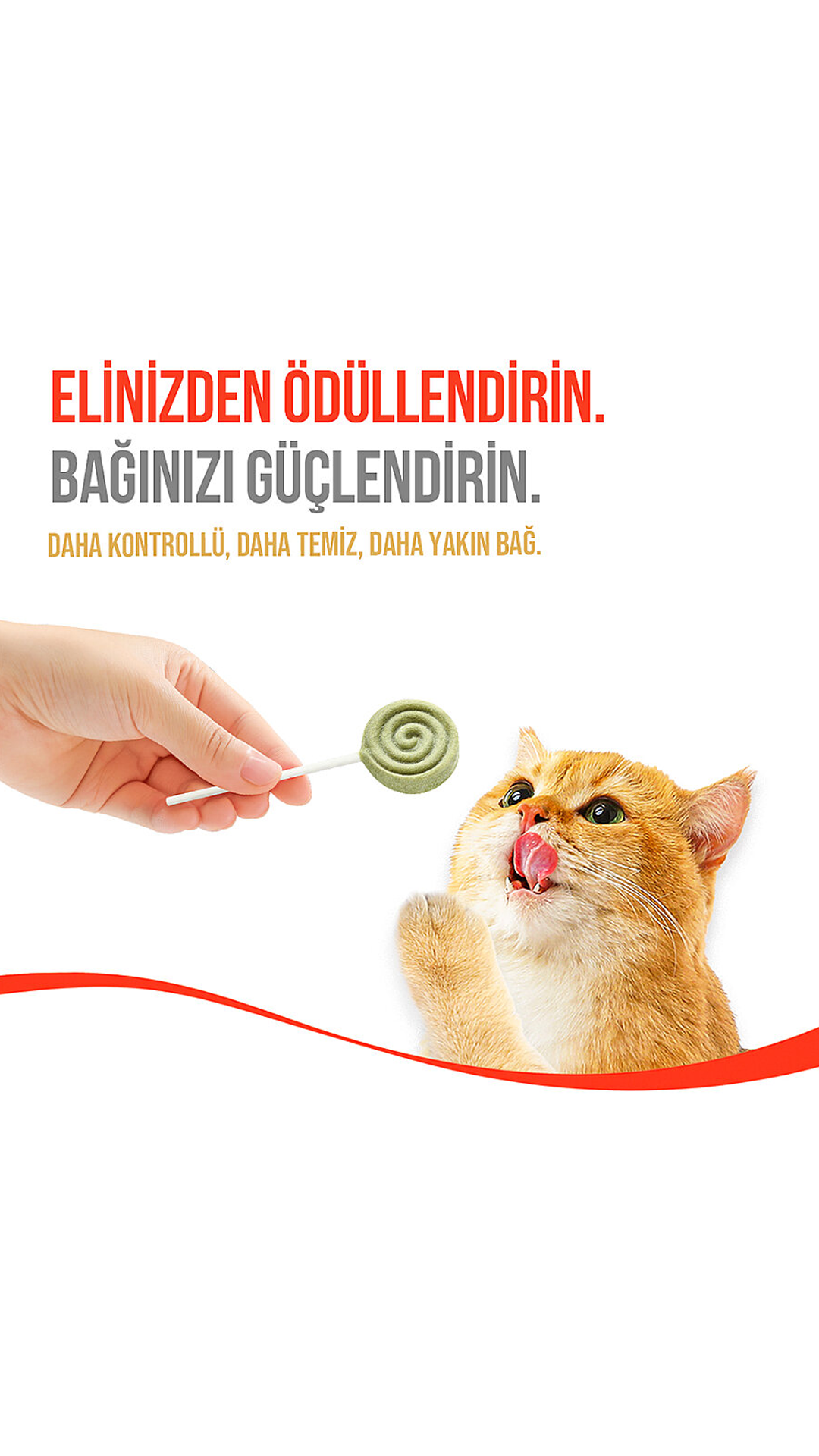 Wanpy Kediler İçin Dondurularak Kurutulmuş Lolipop Kedi Otu 1.4gr
