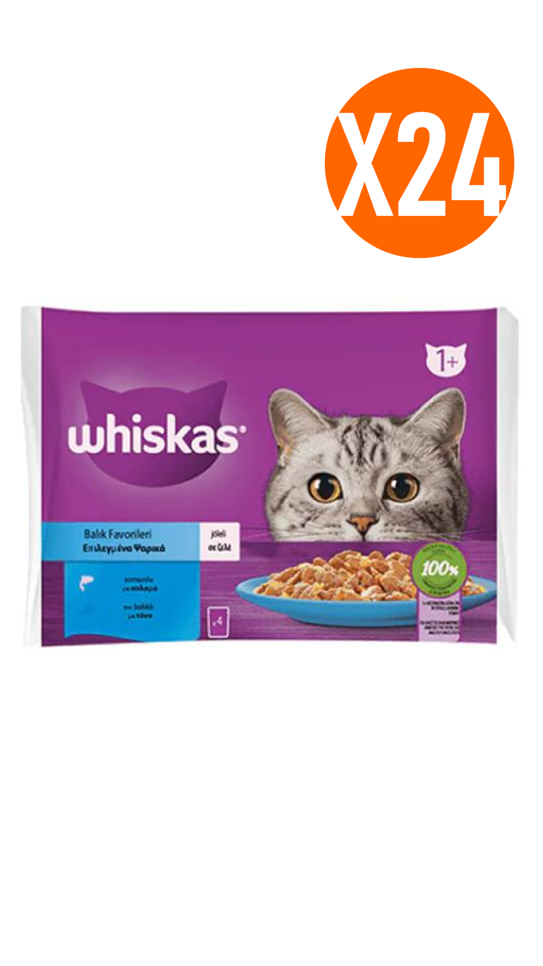 Whiskas Pouch Jöle İçinde Somonlu ve Ton Balıklı Yetişkin Kedi Konservesi 85 gr (4'lü) 24 Adet