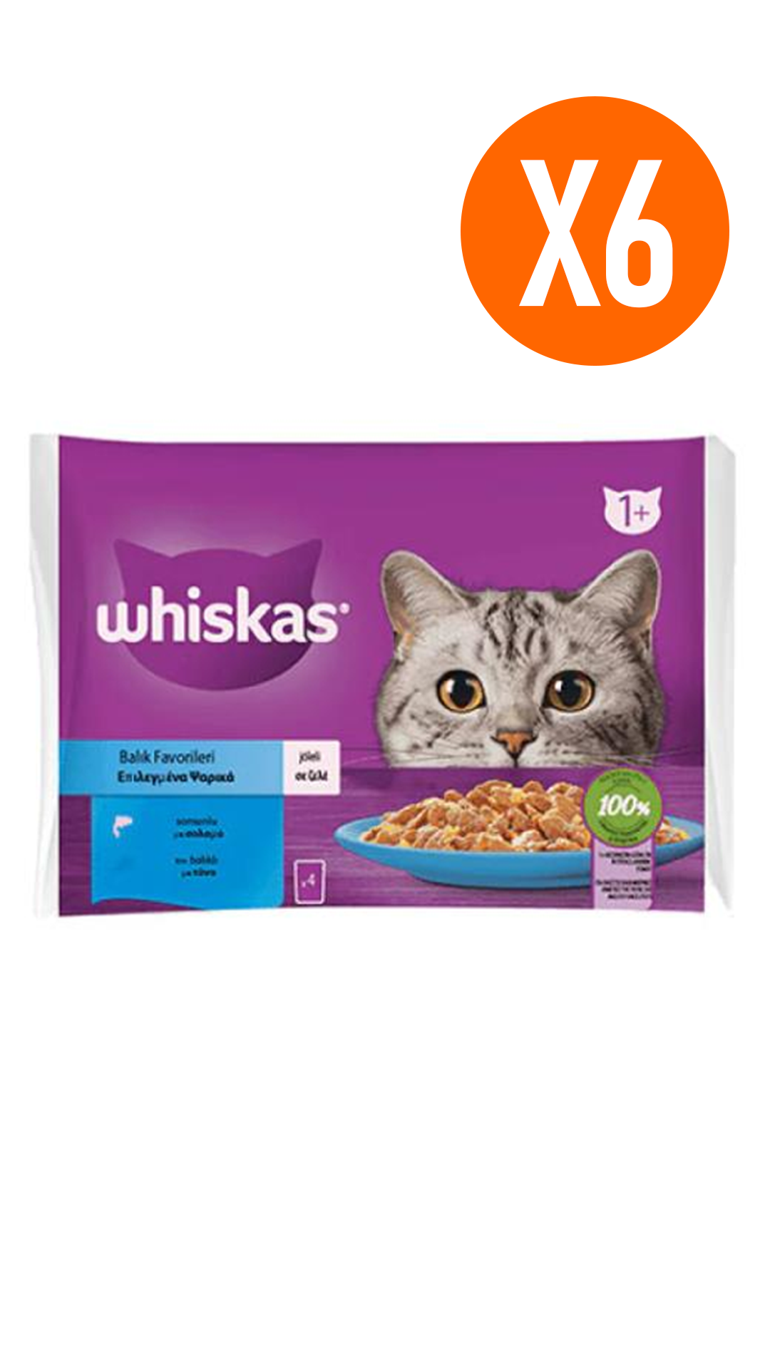 Whiskas Pouch Jöle İçinde Somonlu ve Ton Balıklı Yetişkin Kedi Konservesi 85 gr (4'lü) 6 Adet