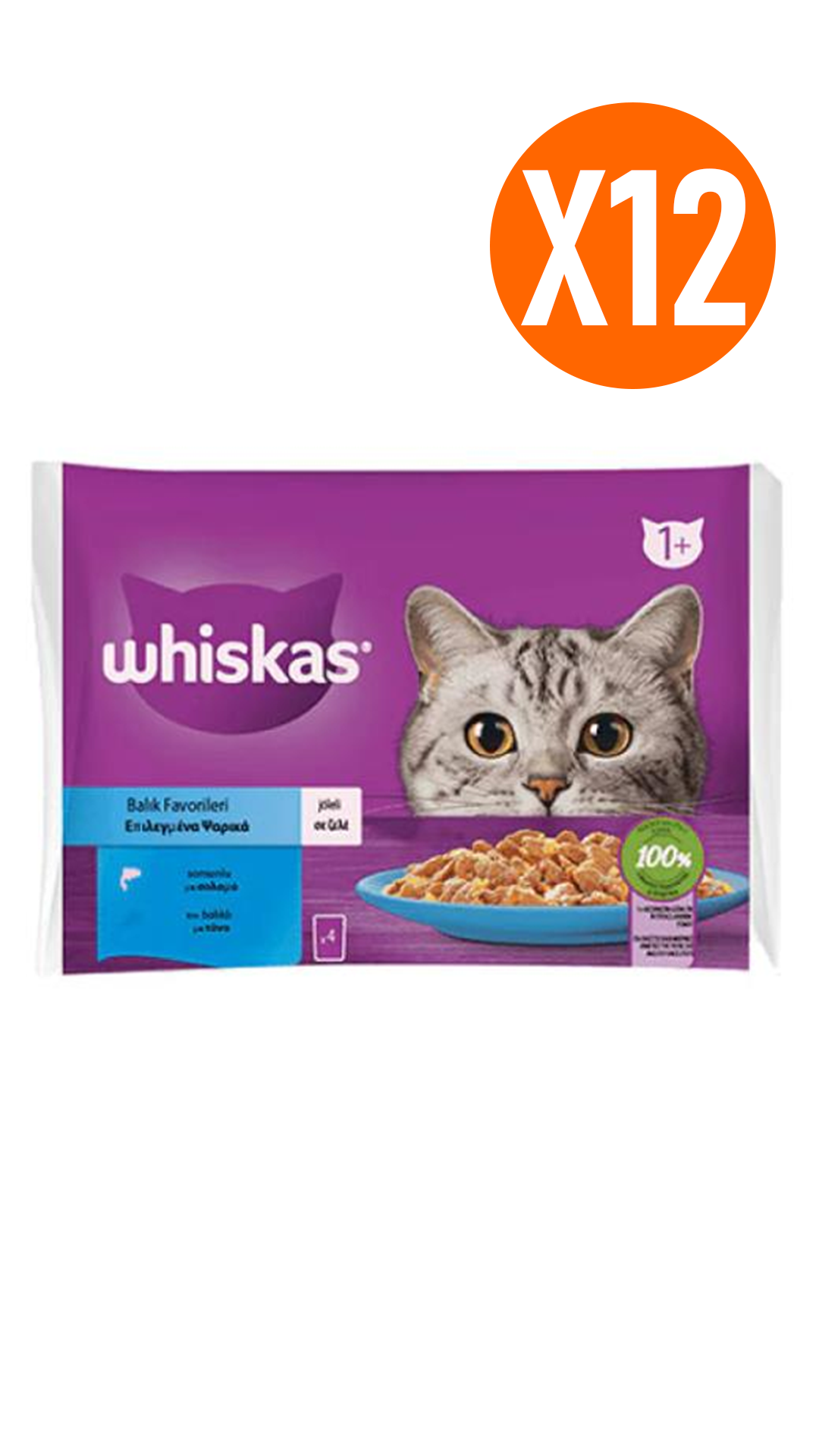 Whiskas Pouch Jöle İçinde Somonlu ve Ton Balıklı Yetişkin Kedi Konservesi 85 gr (4'lü) 12 Adet