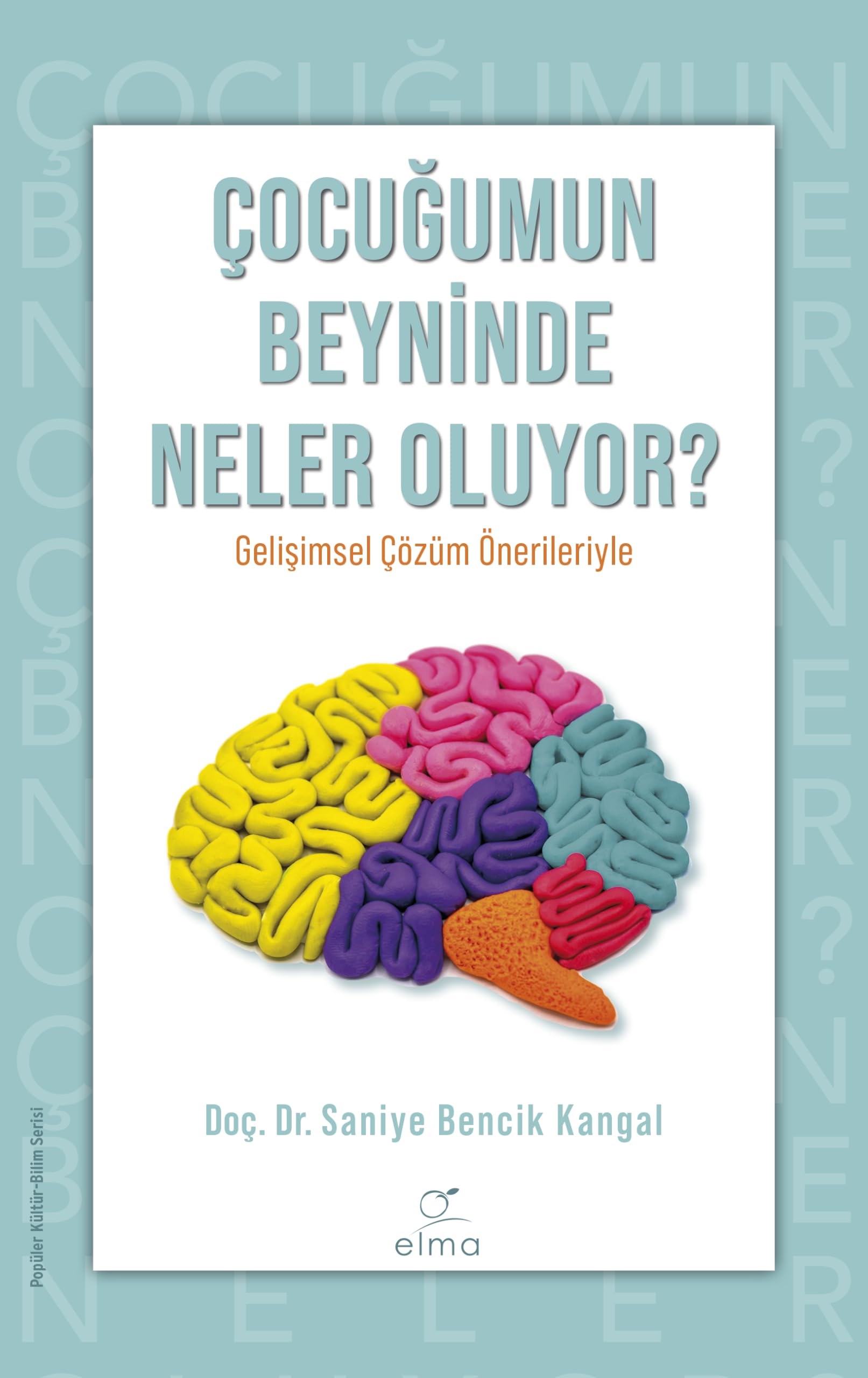 KitapÇocuğumun Beyninde Neler Oluyor?: Gelişimsel Çözüm Önerileriyle