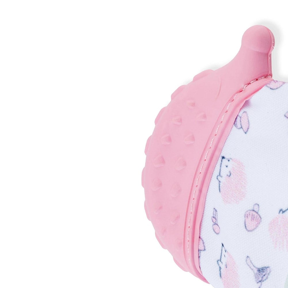 BABYJEM Diş Kaşıyıcı Eldiven Kirpi