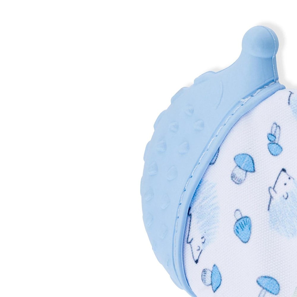 BABYJEM Diş Kaşıyıcı Eldiven Kirpi