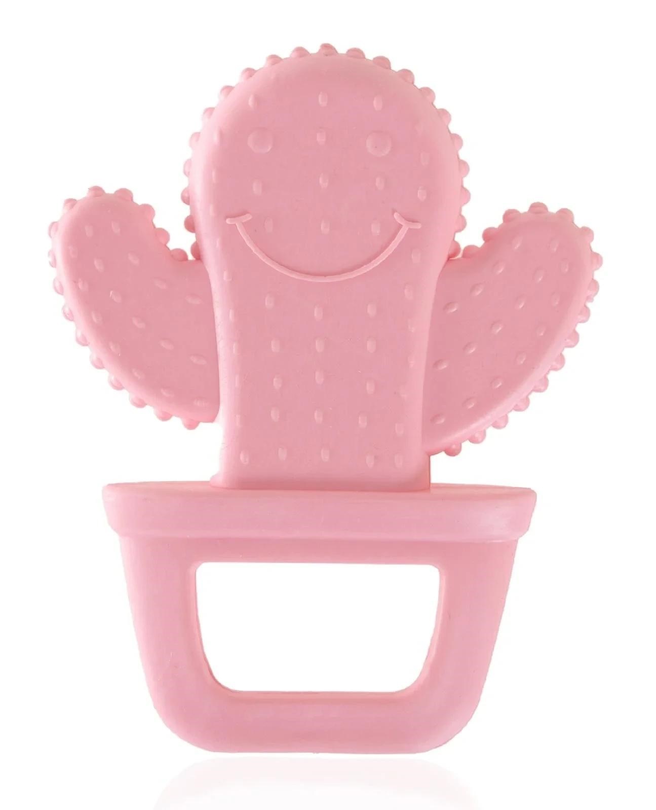 Babyjem Dişlik Kaktüs