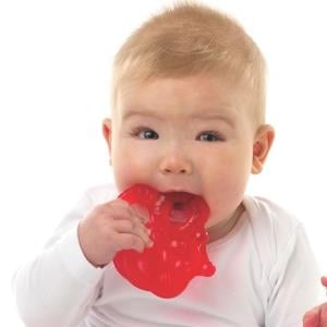 Playgro 2'li Arı Dişlik
