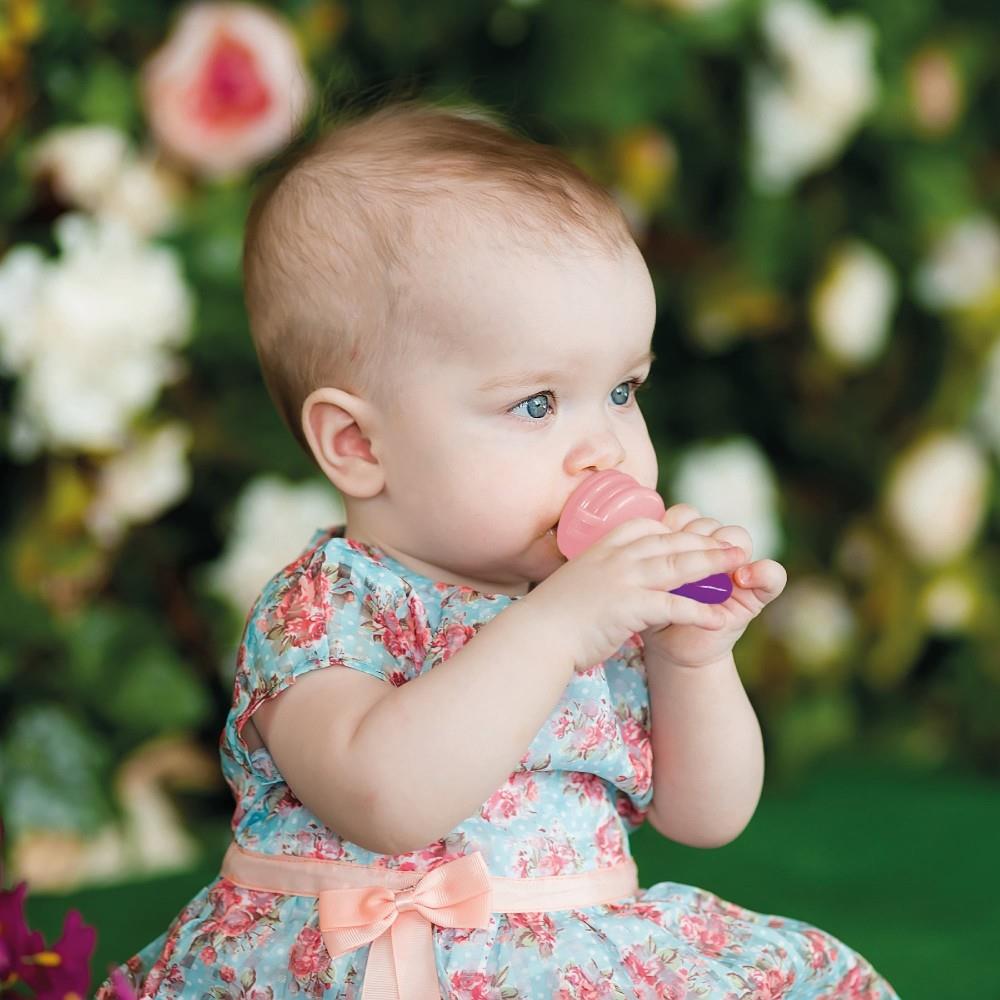 Sevi Bebe Silikon Meyve Emziği & Diş Kaşıyıcı