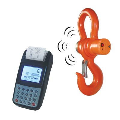 Tem 5 tonluk yazıcılı vinç baskülü