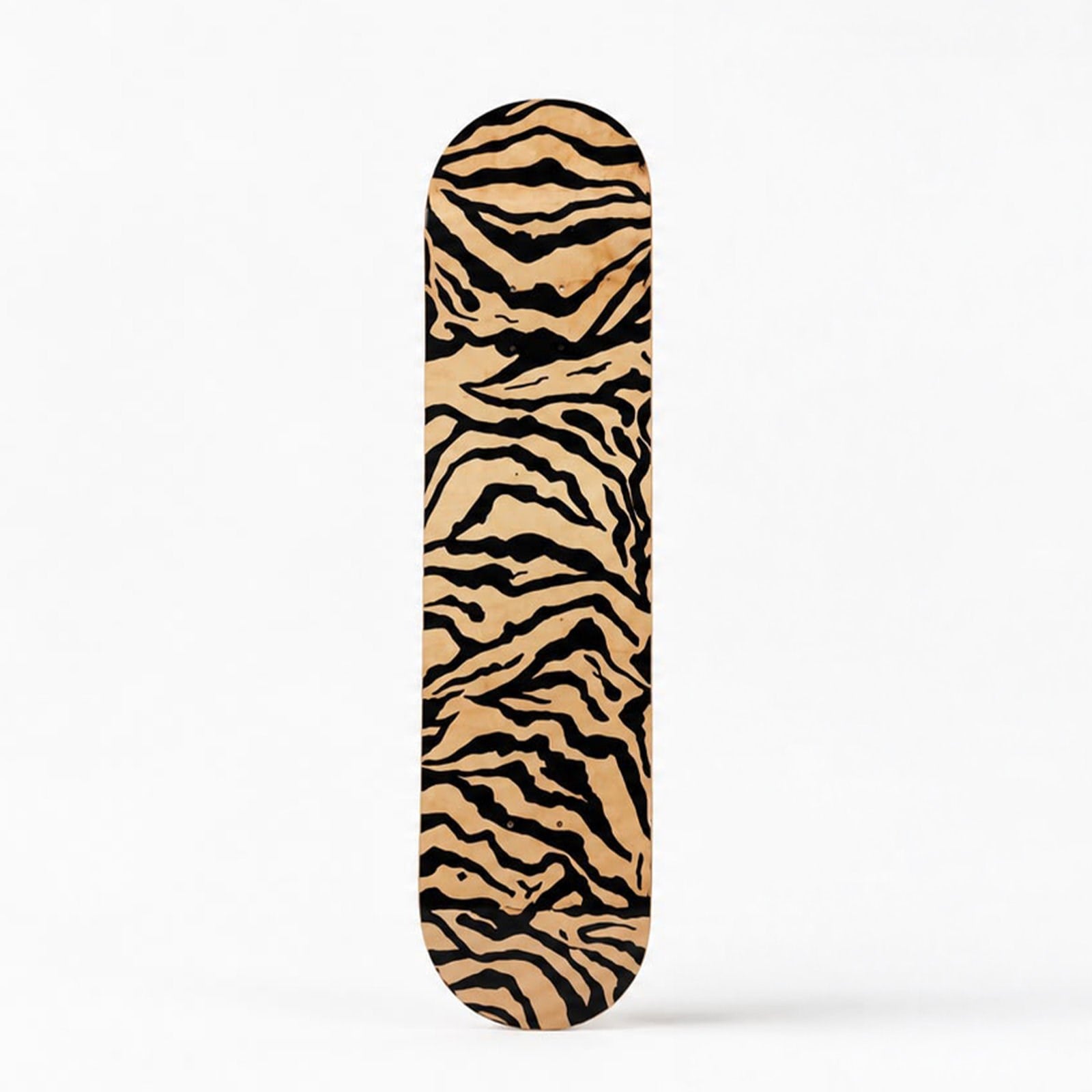 Lonely Zebra
