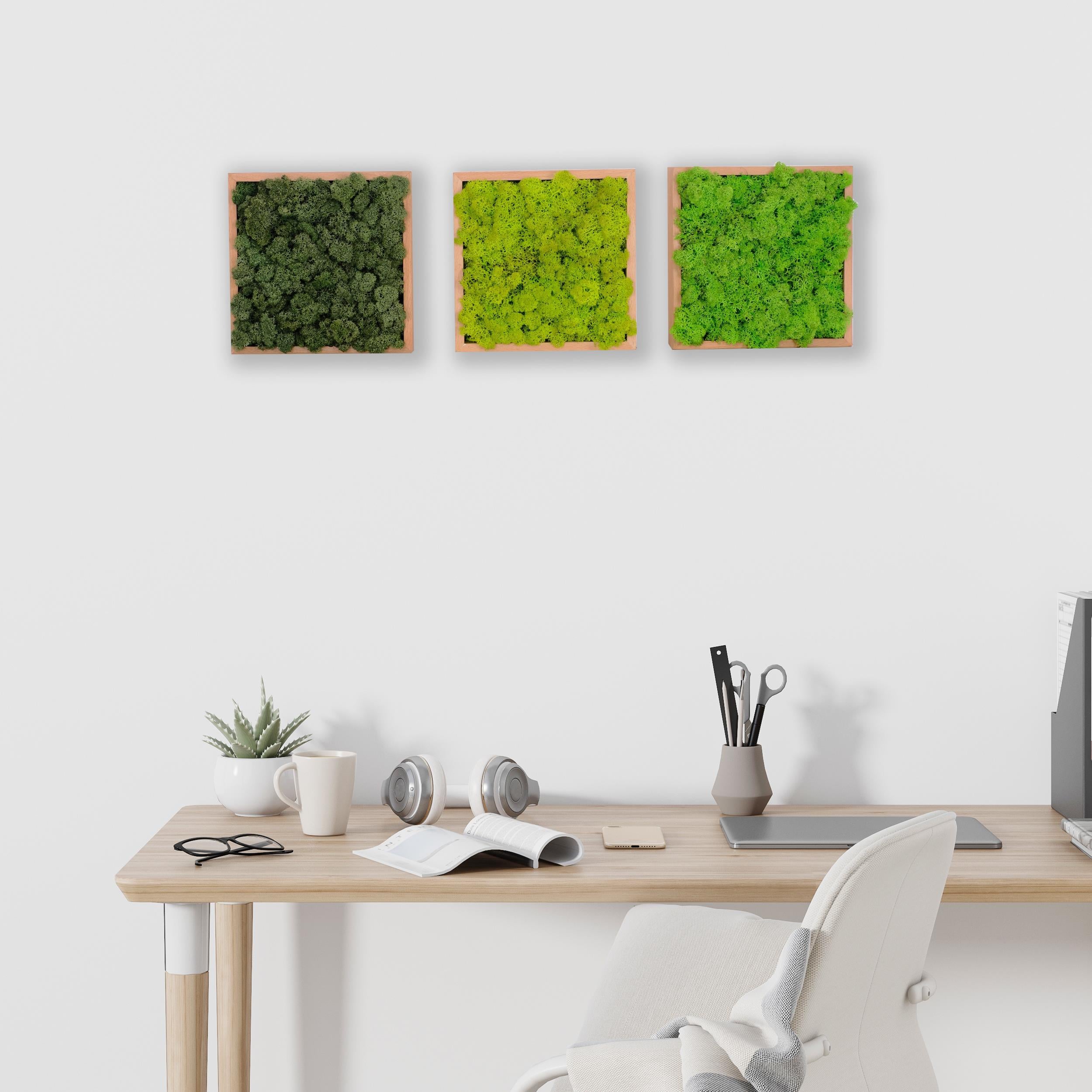 ·Quadratus Moss · Ahşap Çerçevede canlı Yosun Tablo