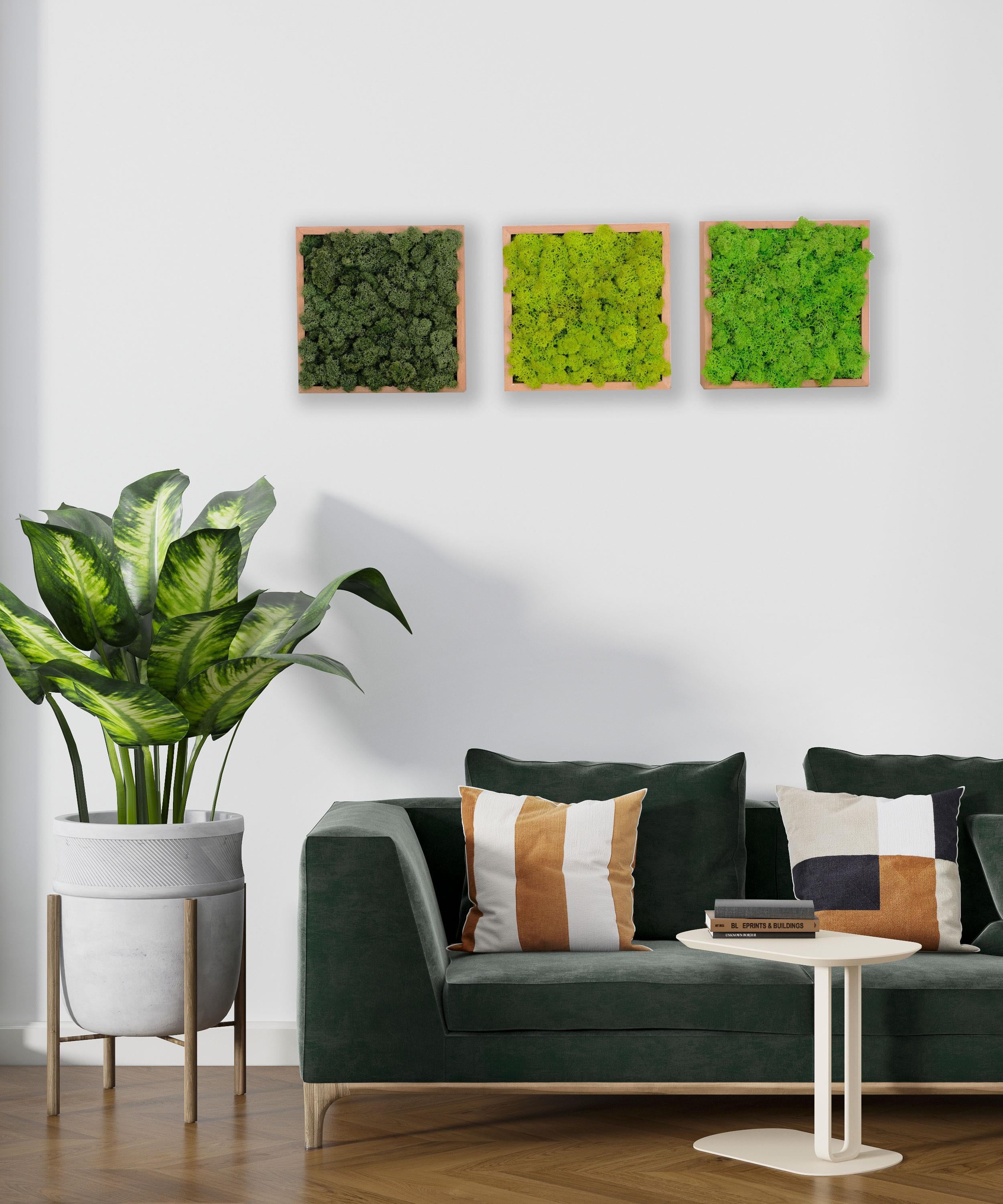 ·Quadratus Moss · Ahşap Çerçevede canlı Yosun Tablo