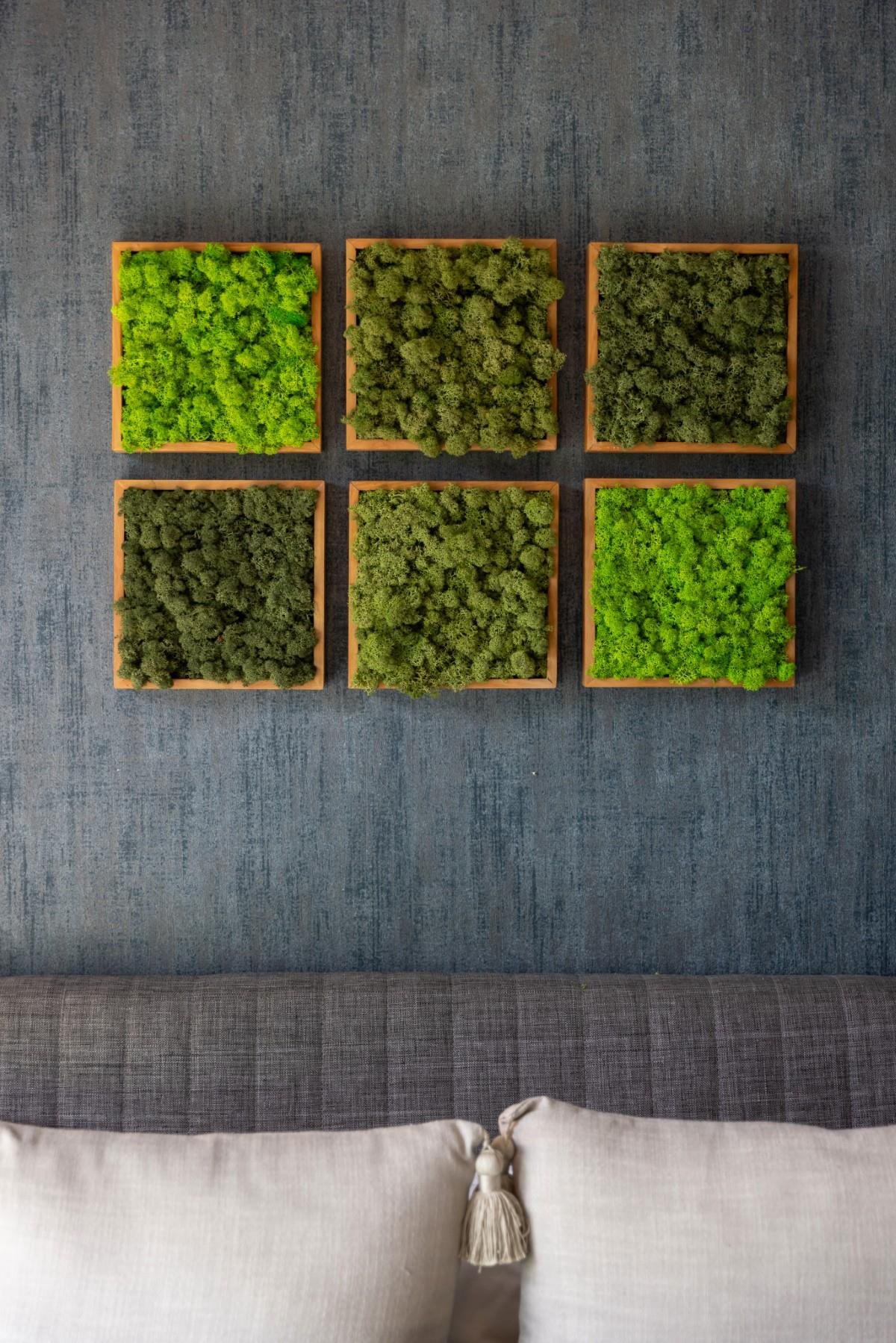 ·Quadratus Moss · Ahşap Çerçevede canlı Yosun Tablo
