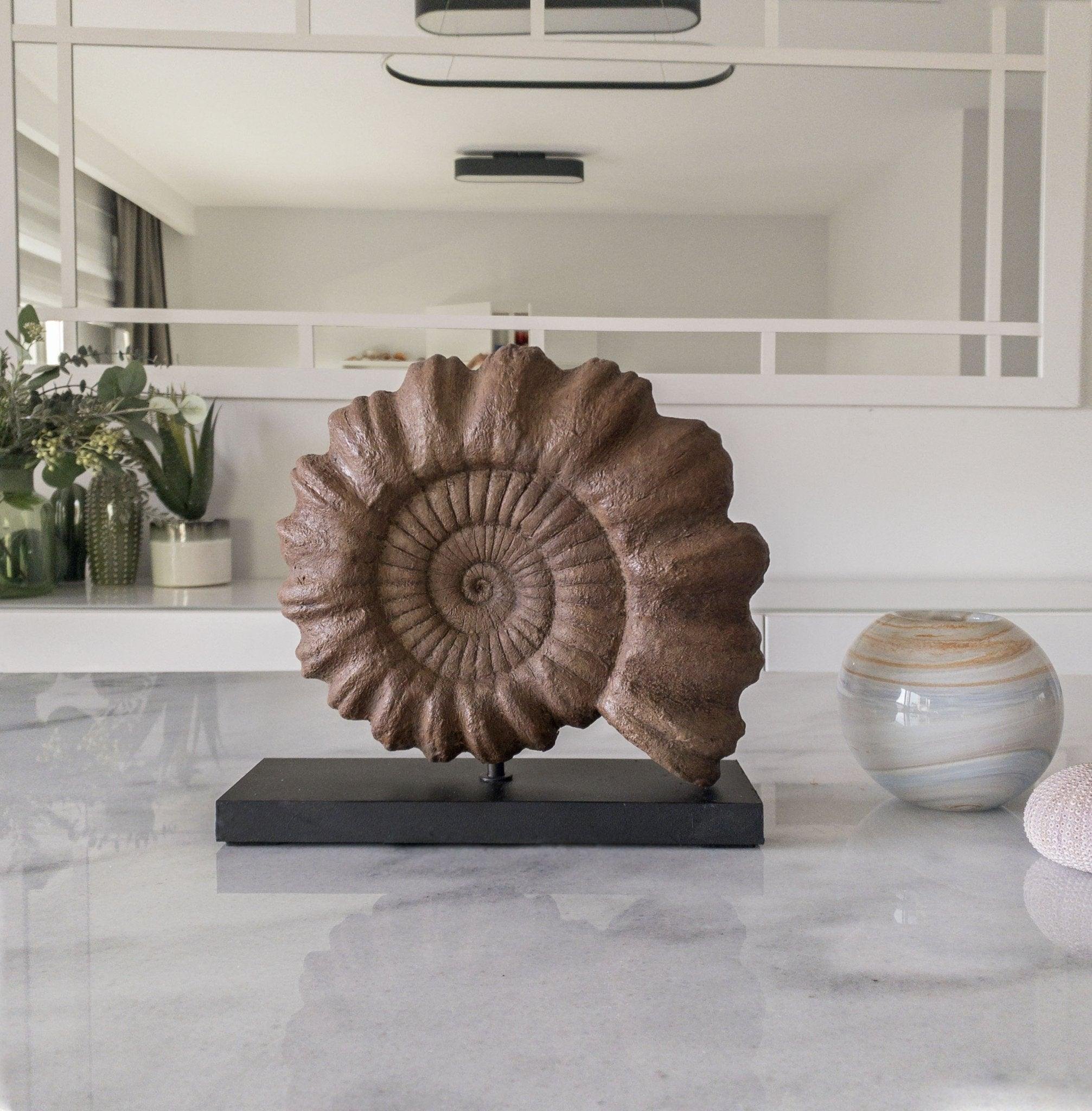 Ammonite