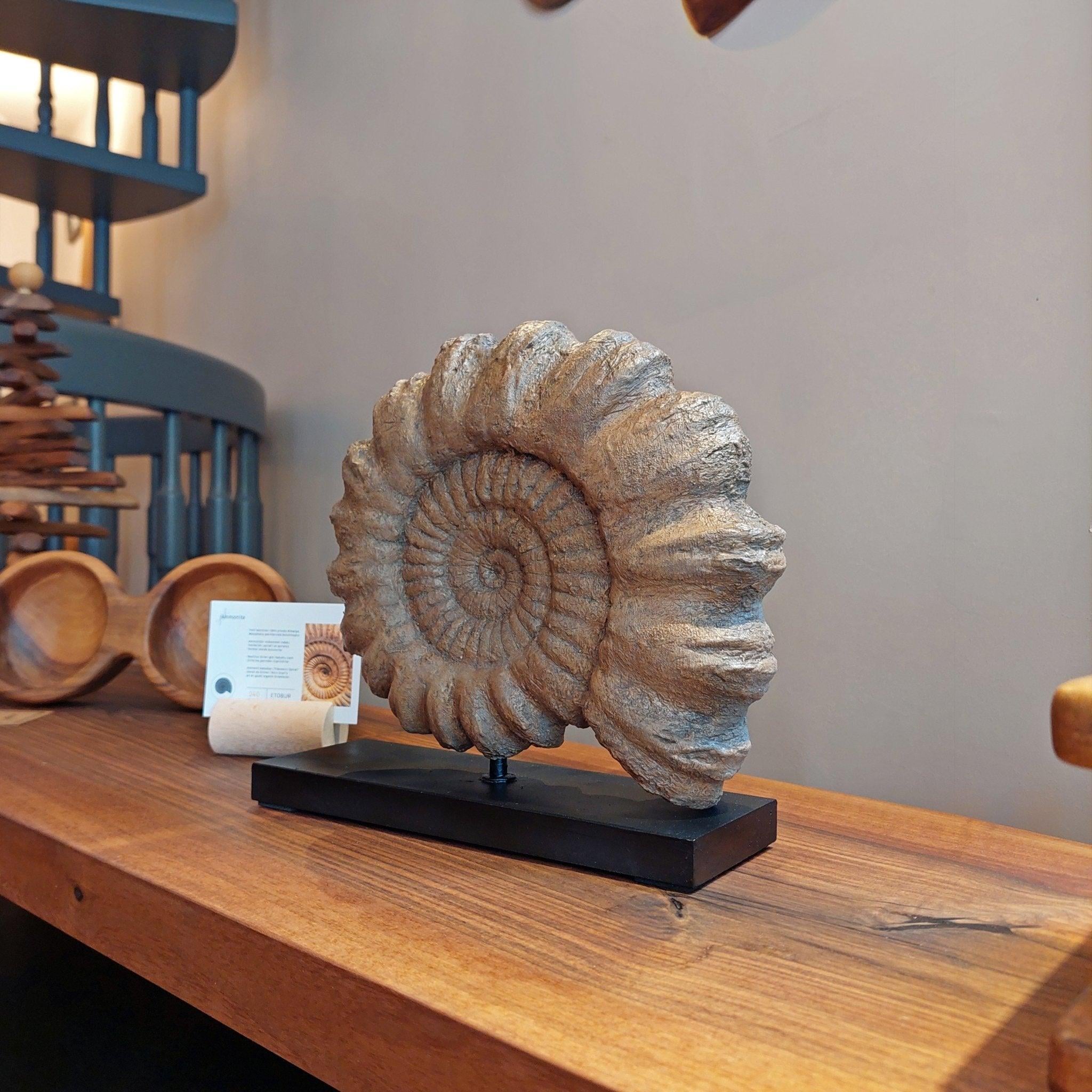 Ammonite