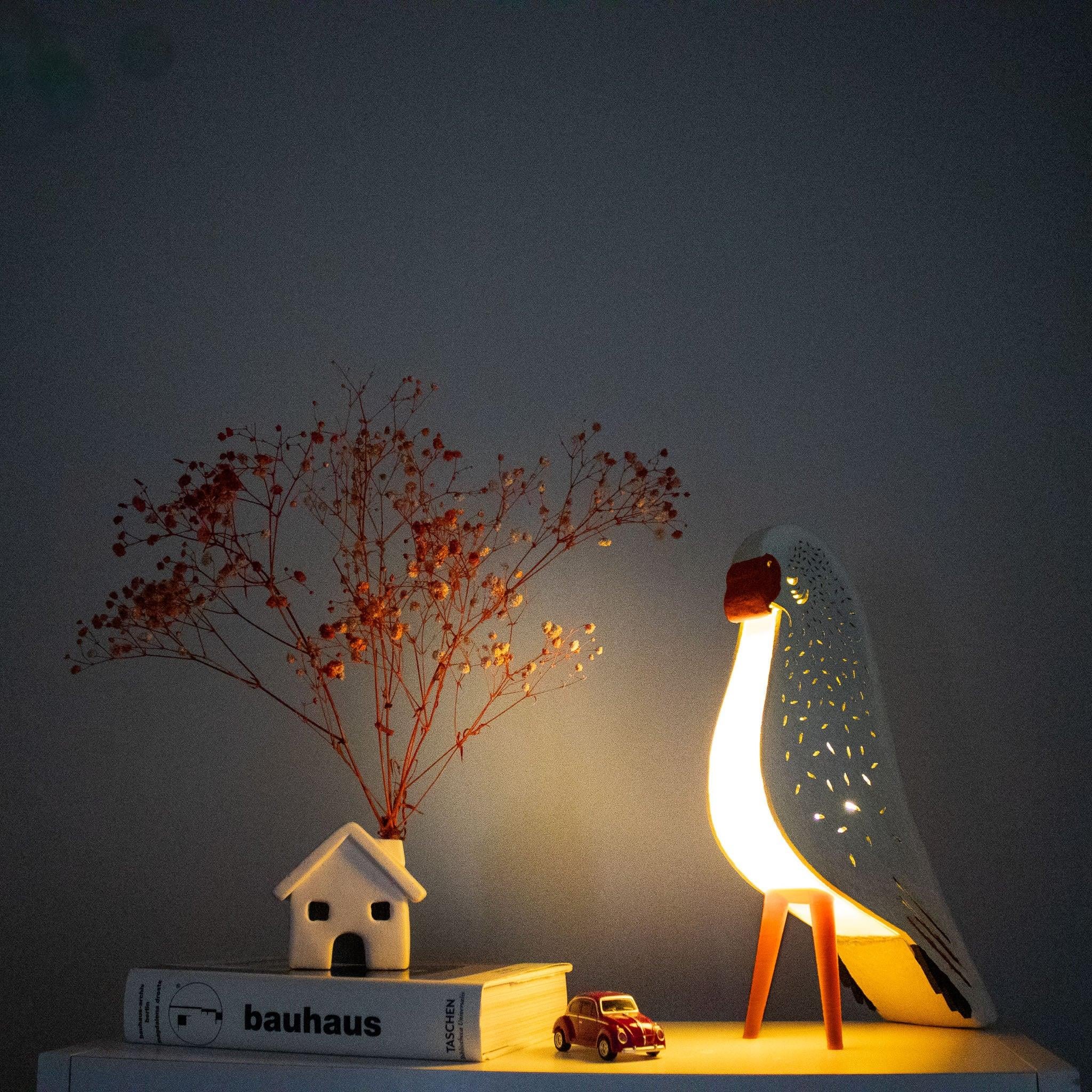 Budgie Rainy
