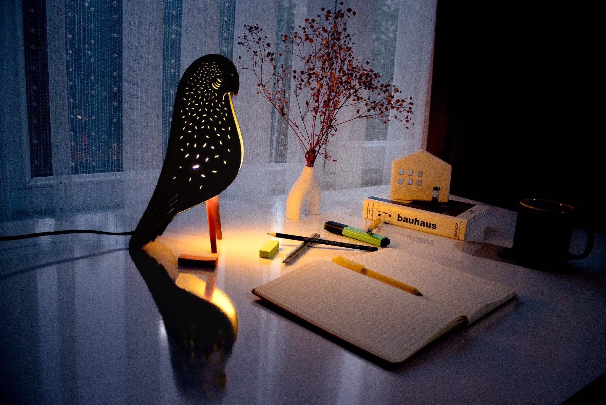 Budgie Rainy