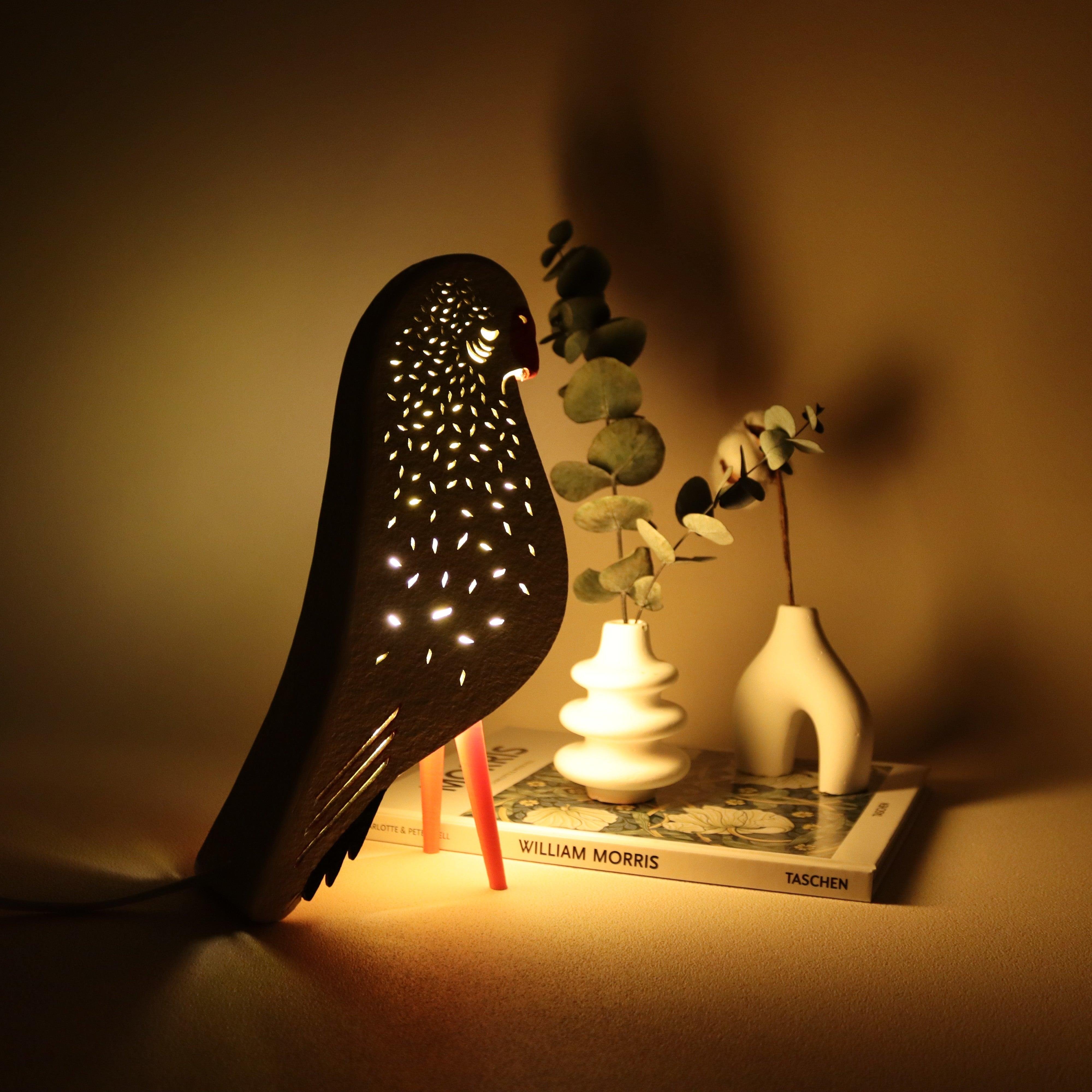 Budgie Rainy