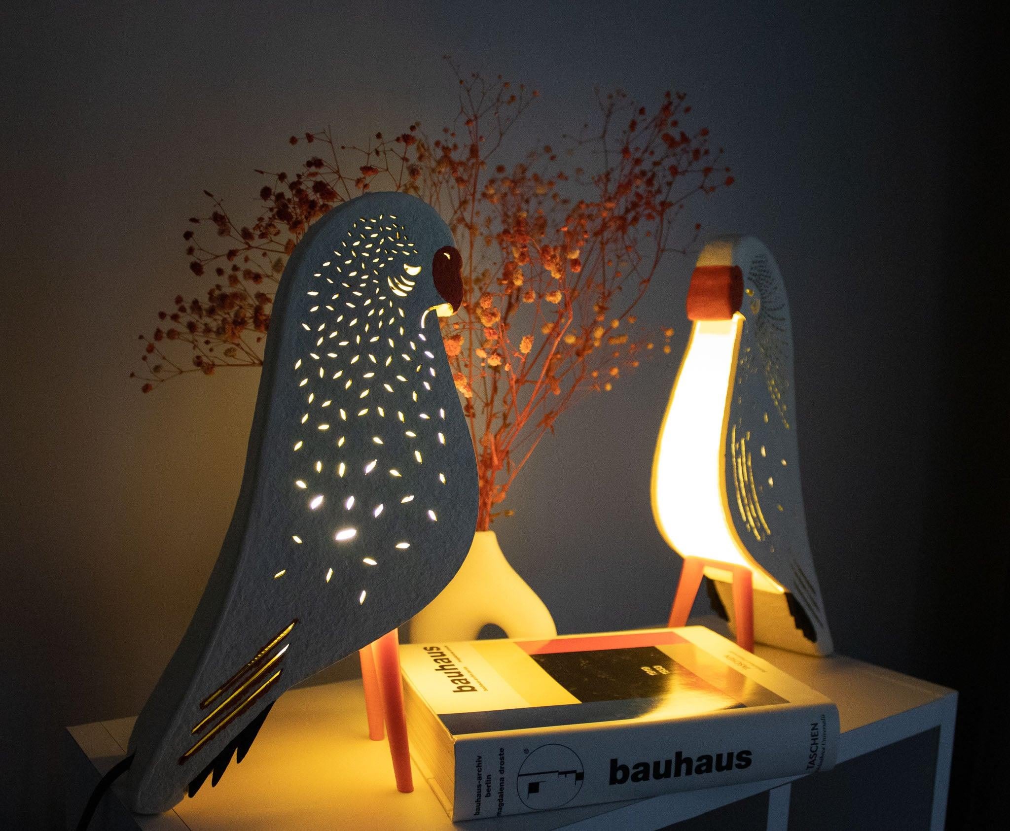 Budgie Rainy