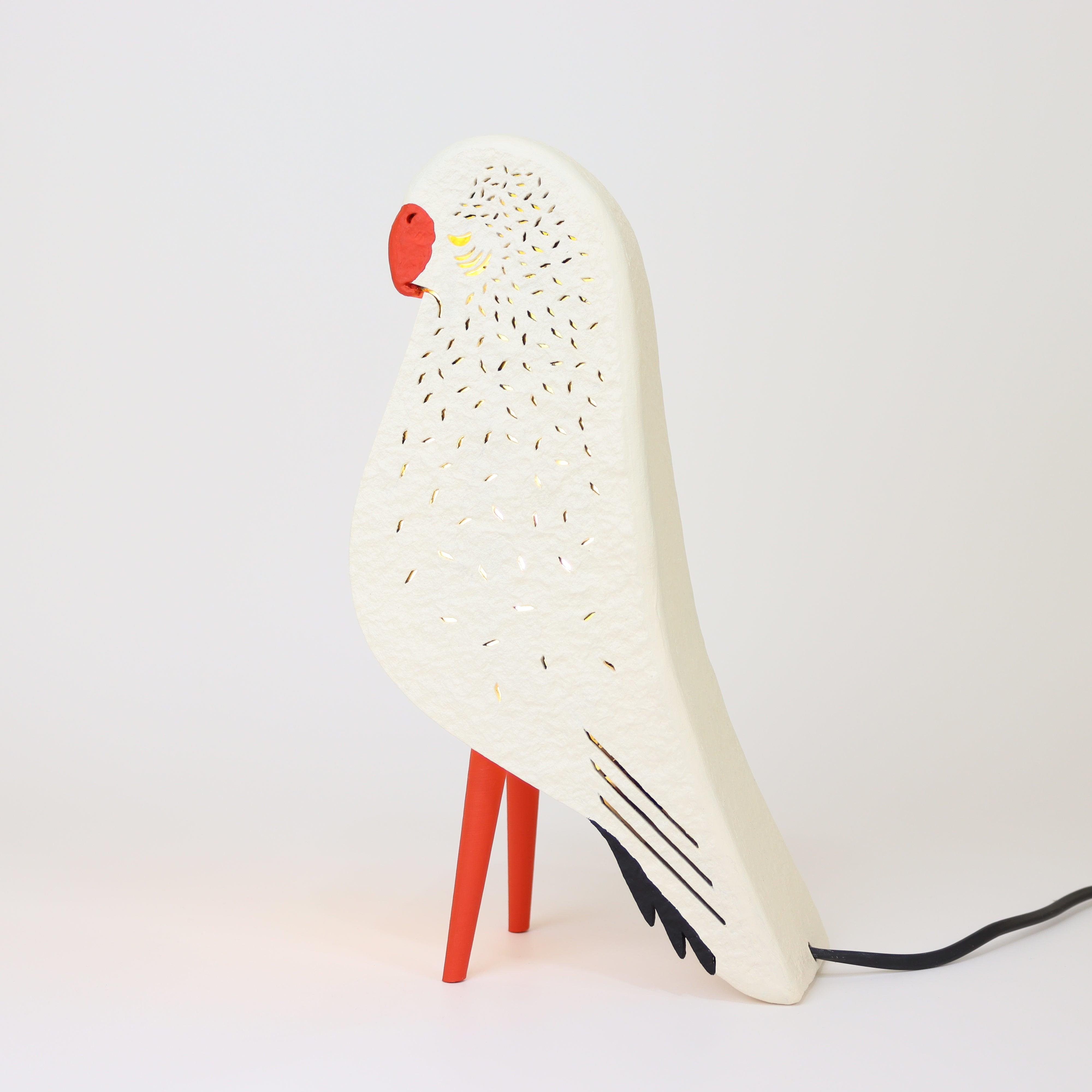 Budgie Rainy