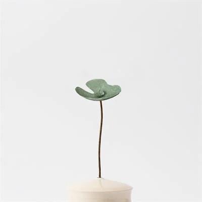 Çentik Moss Dekoratif Çiçek