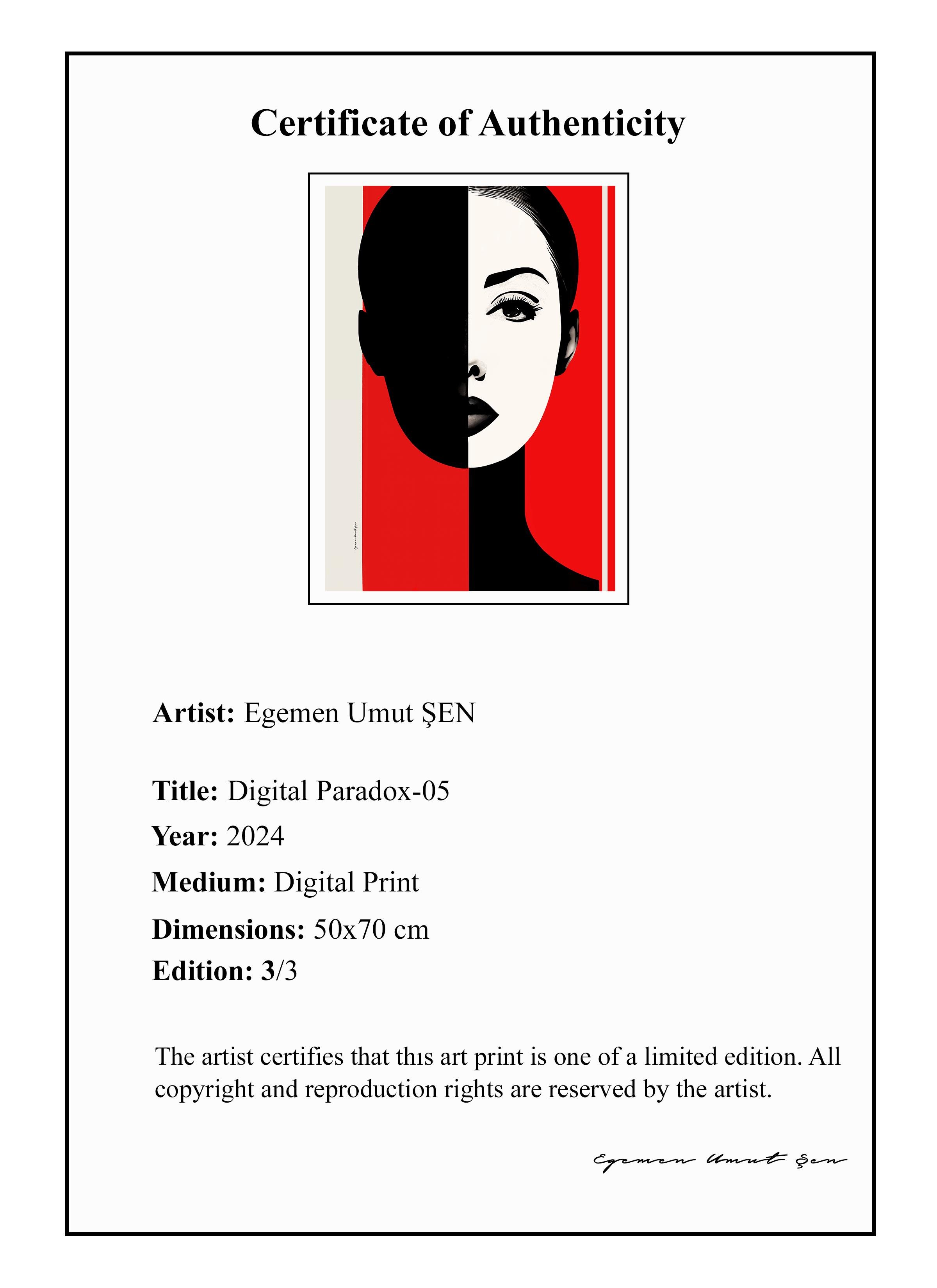 Digital Paradox 05