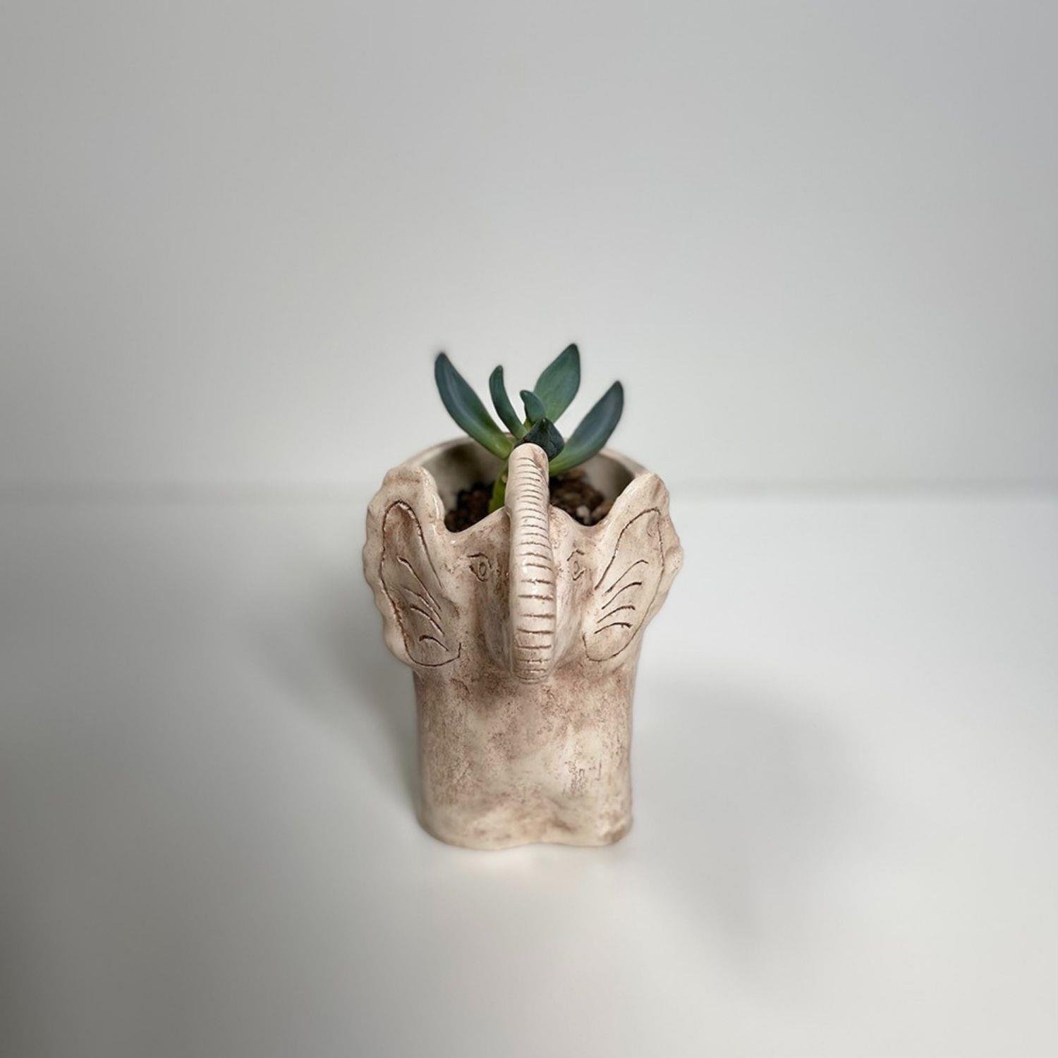 Elephant Pot