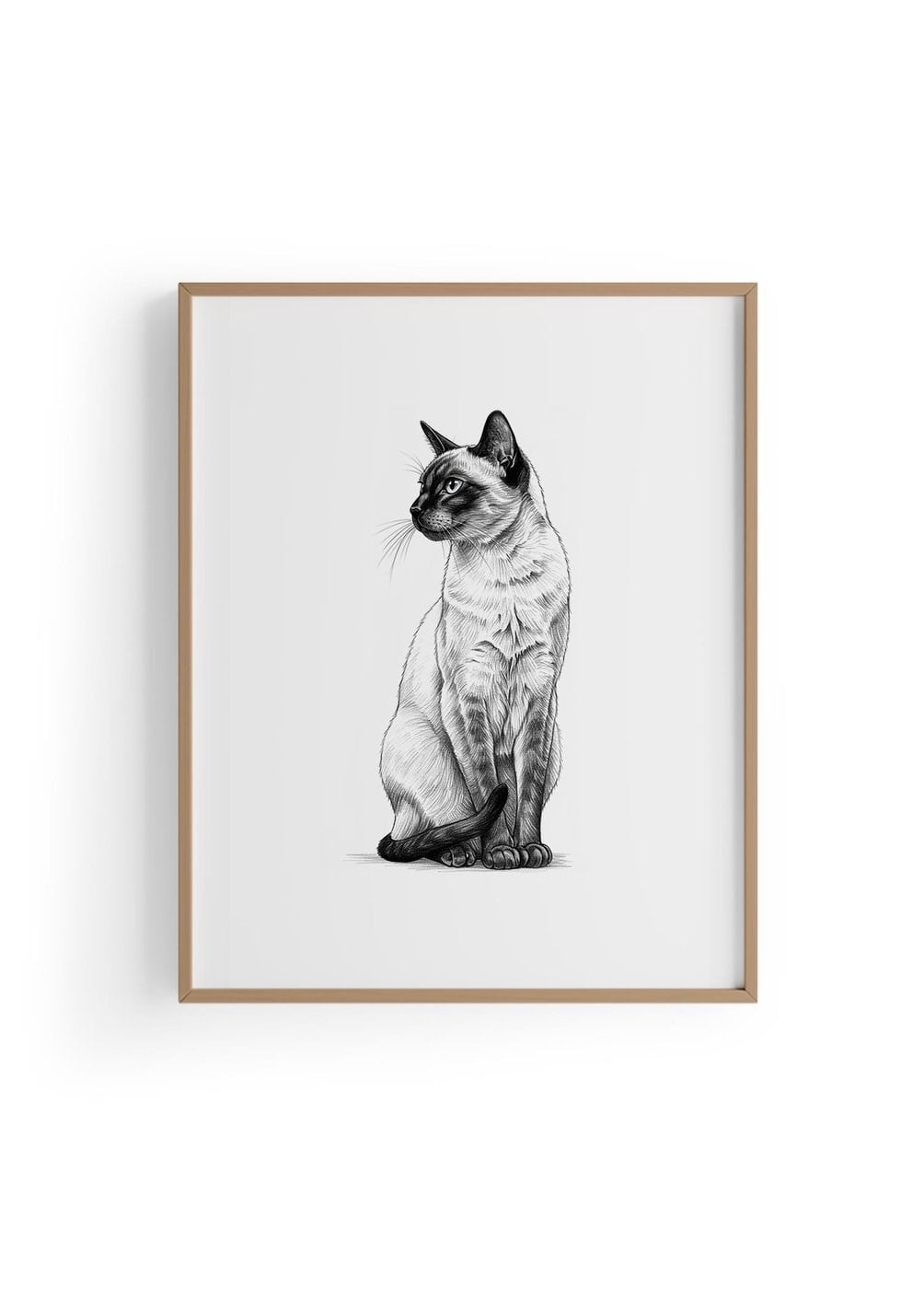 Karakalem Koleksiyonu Kedi Posteri