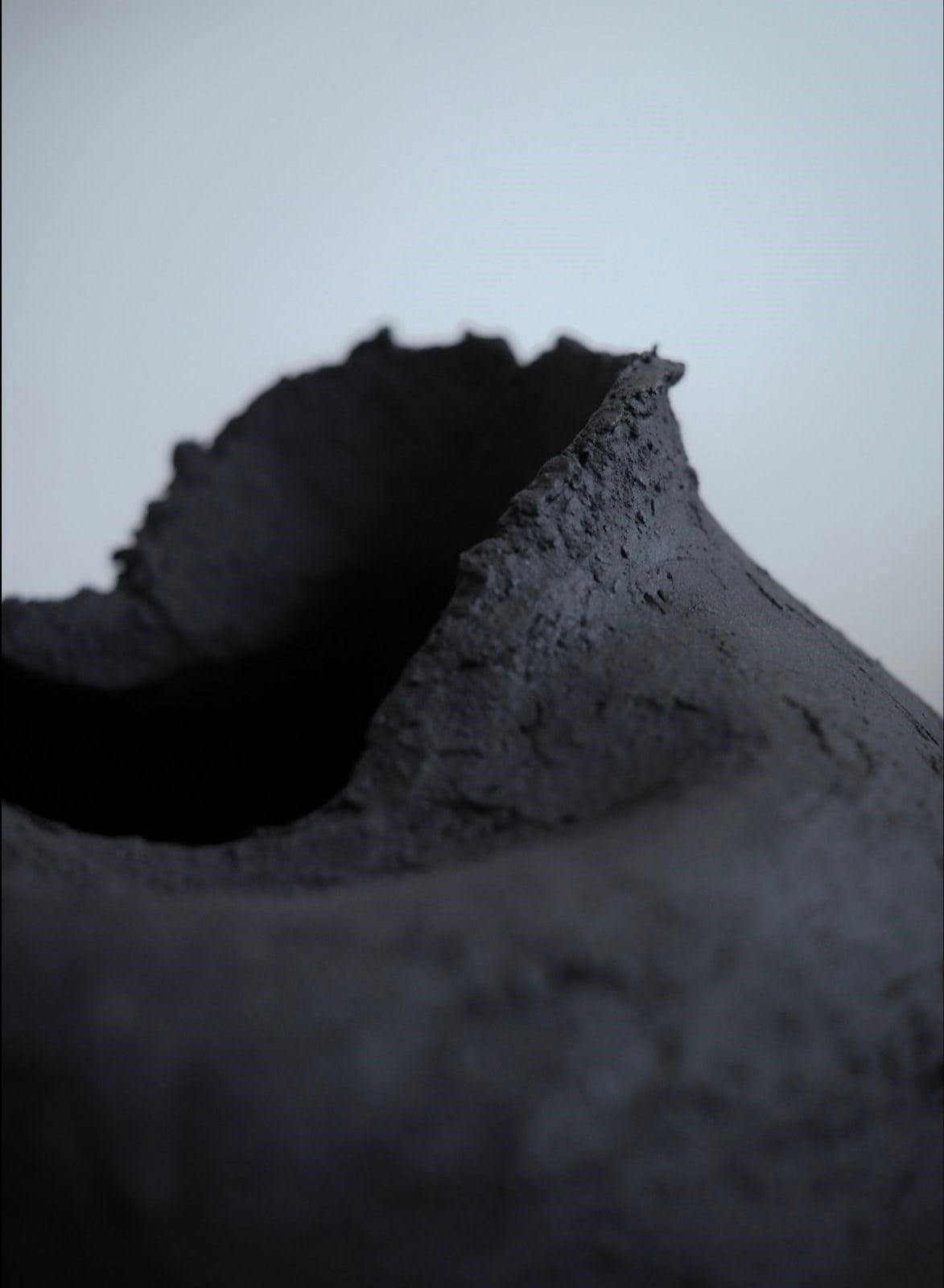Nigra