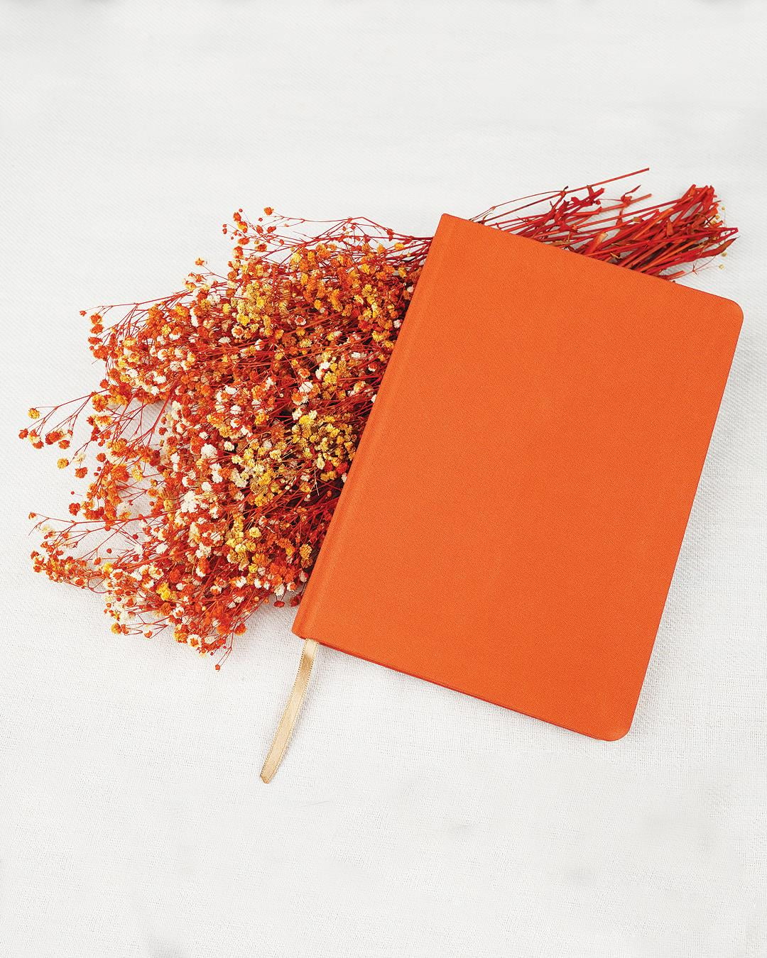 Notebook Coral