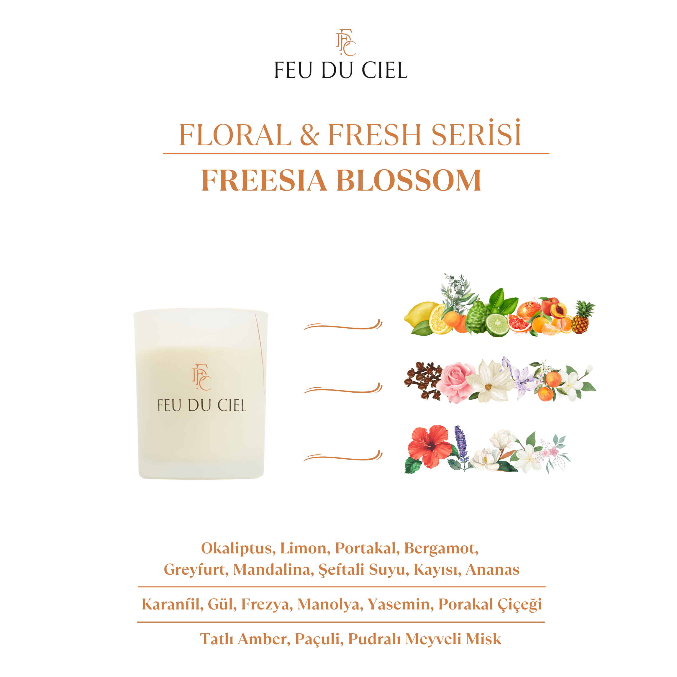 Premium Freesia Blossom