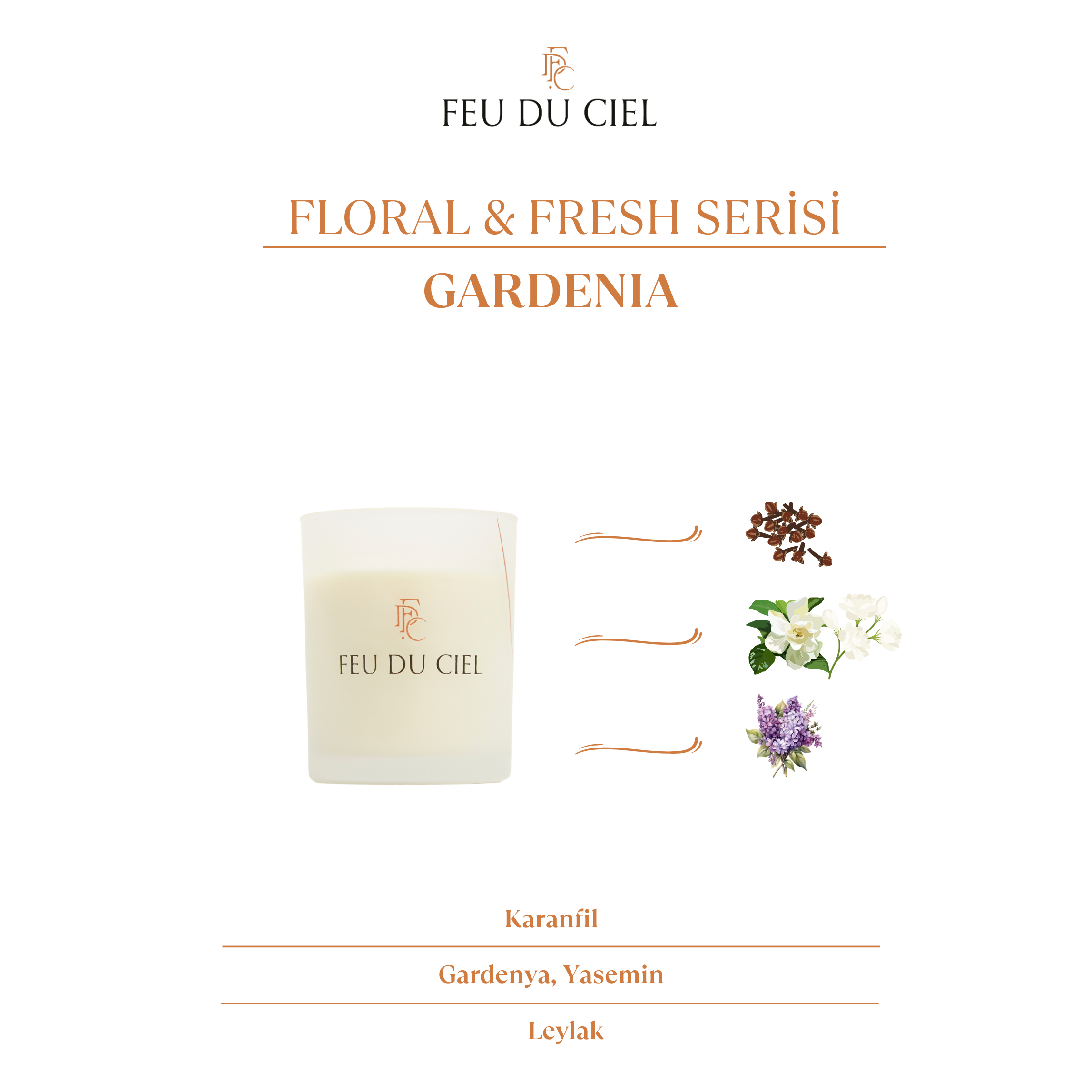 Premium Gardenia Mum