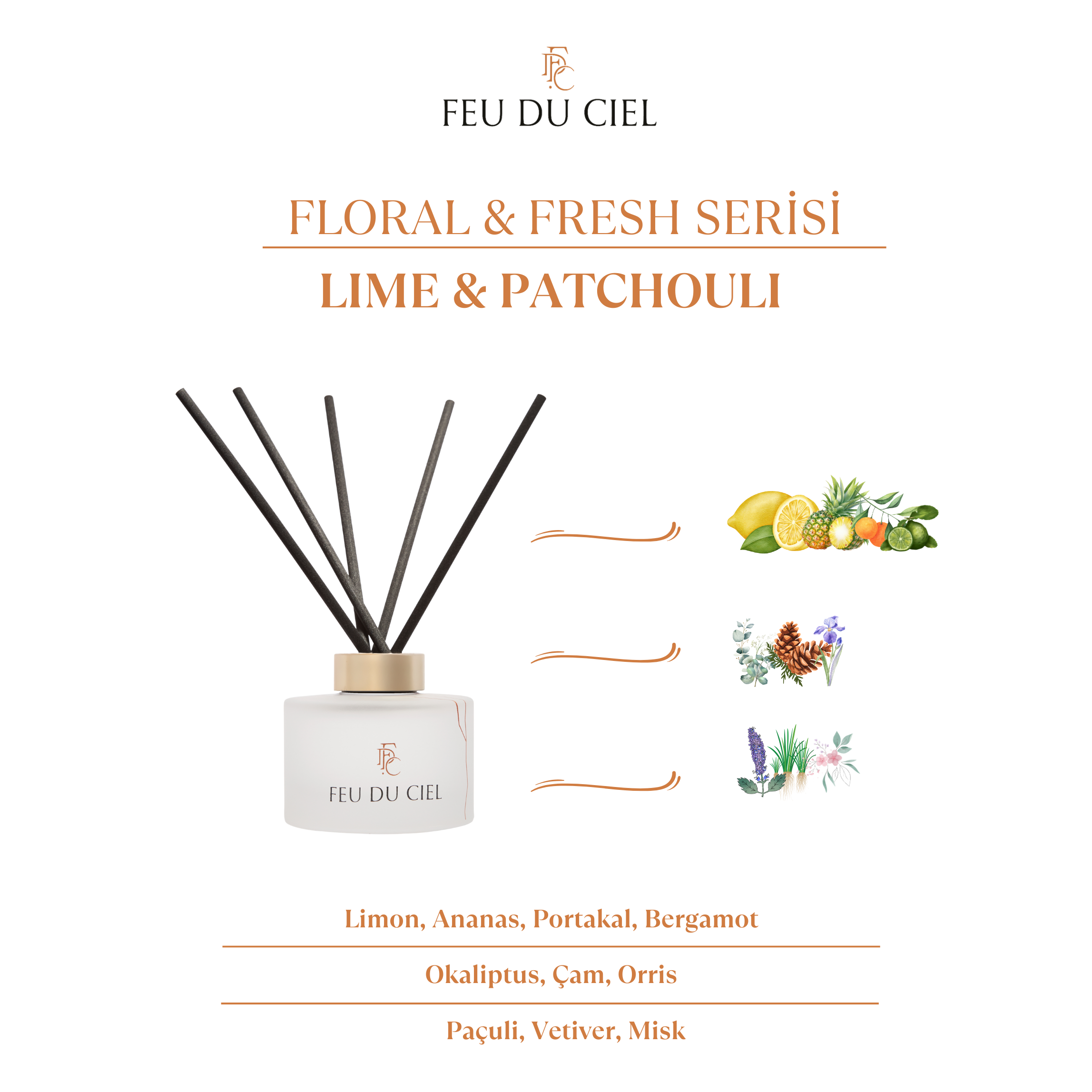 Premium Lime & Patchouli Oda Kokusu
