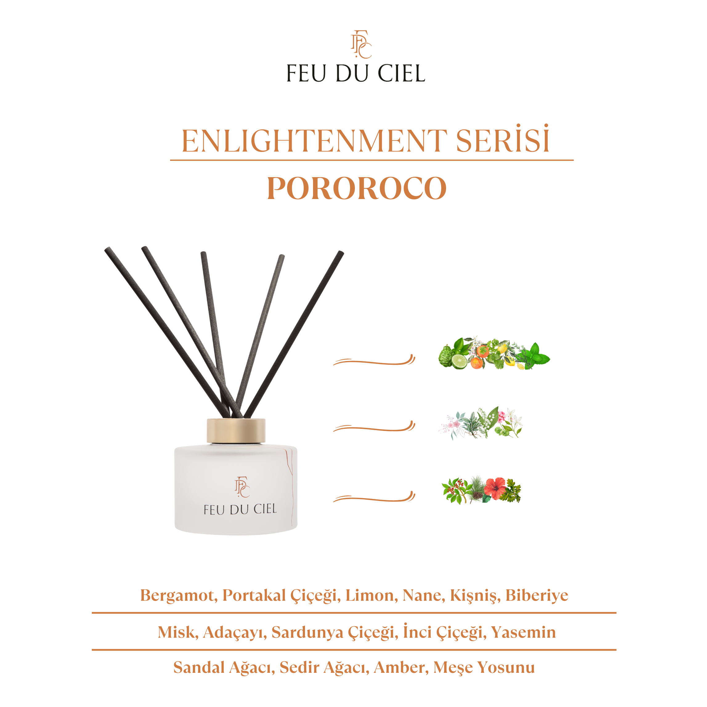 Premium Pororoco Oda Kokusu