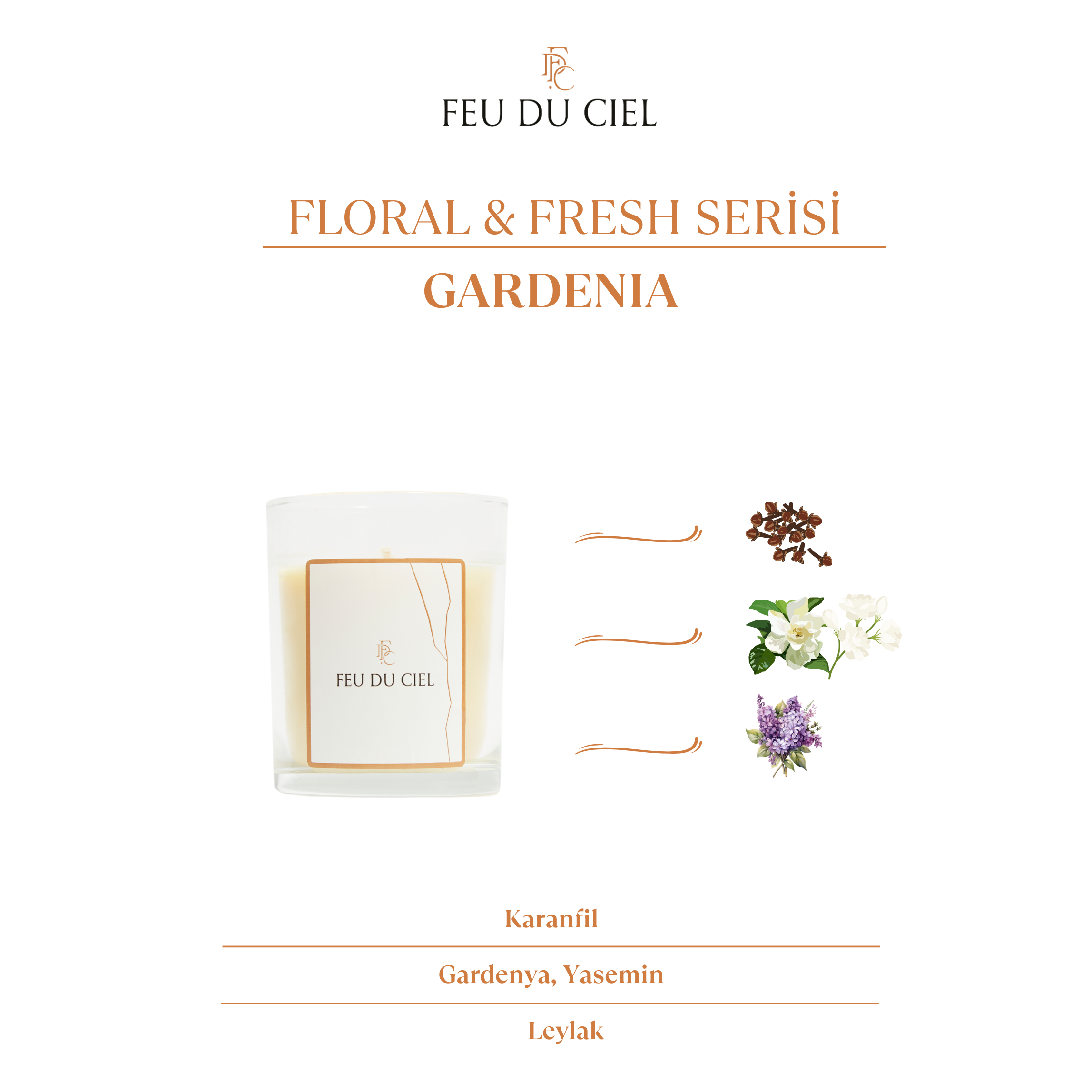 Pure Gardenia Mum