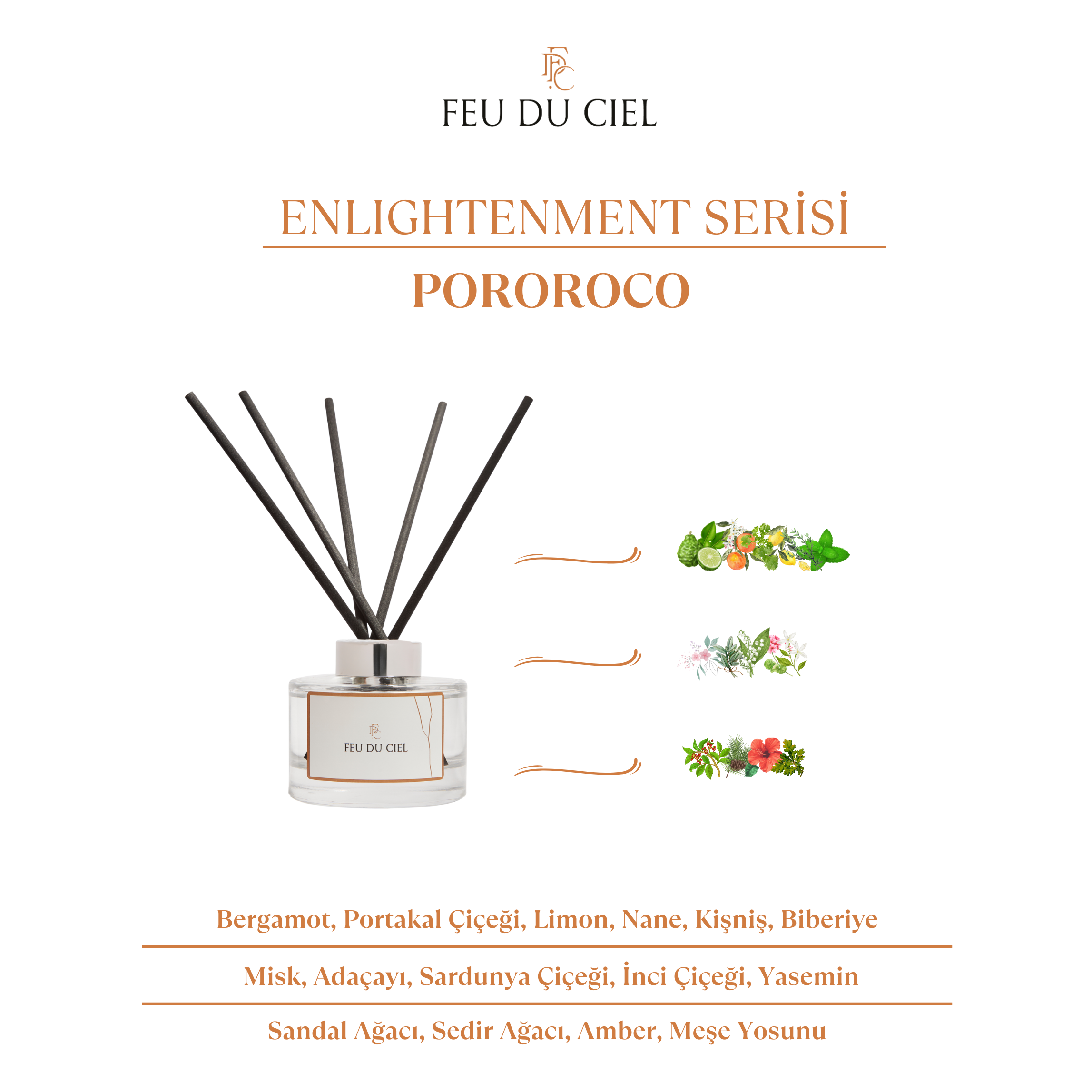 Pure Pororoco Oda Kokusu