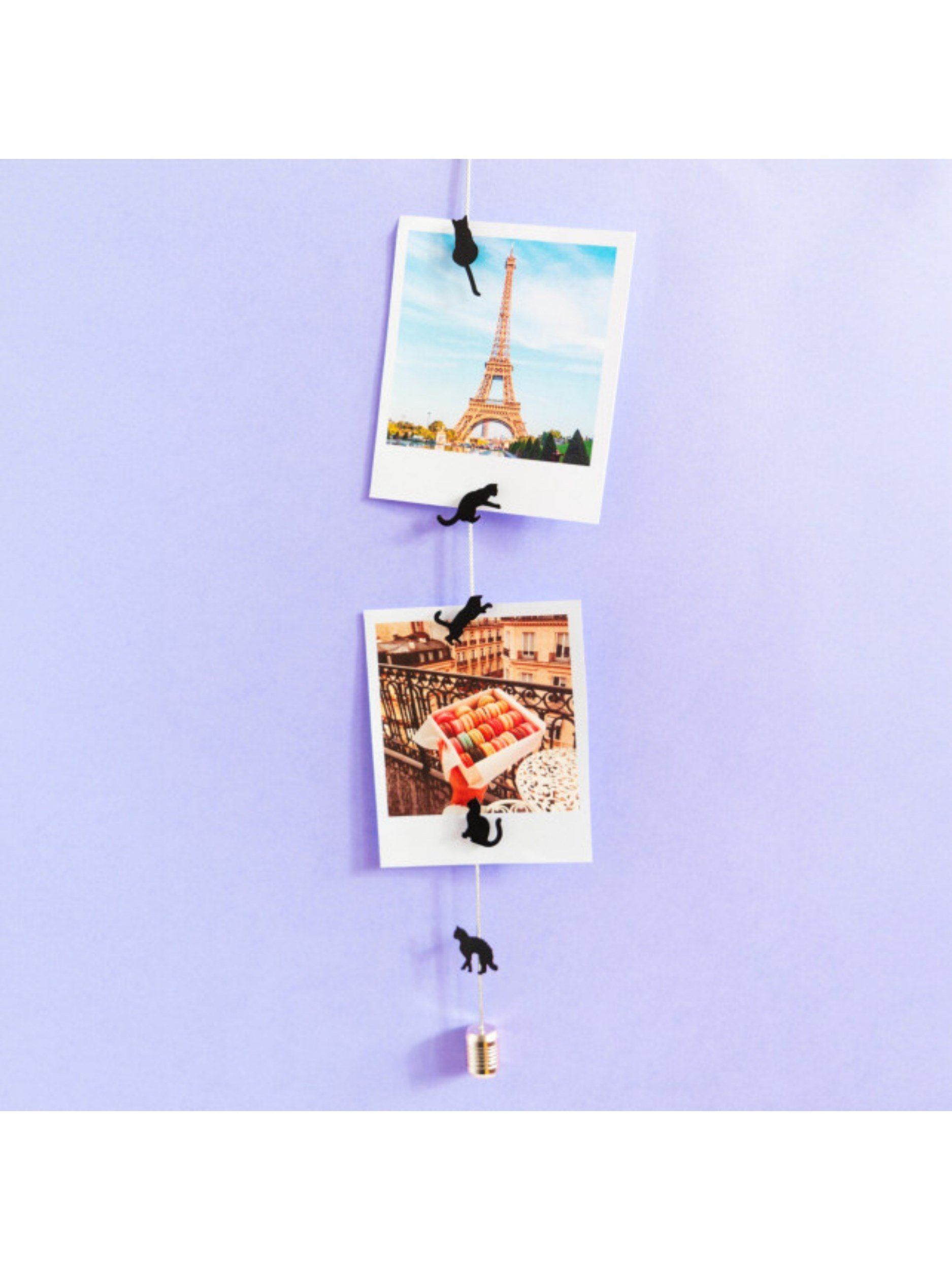 Pylones Fotoğraf Askı Kablosu Ve Mıknatıslar - Magnetic Cable Kedi