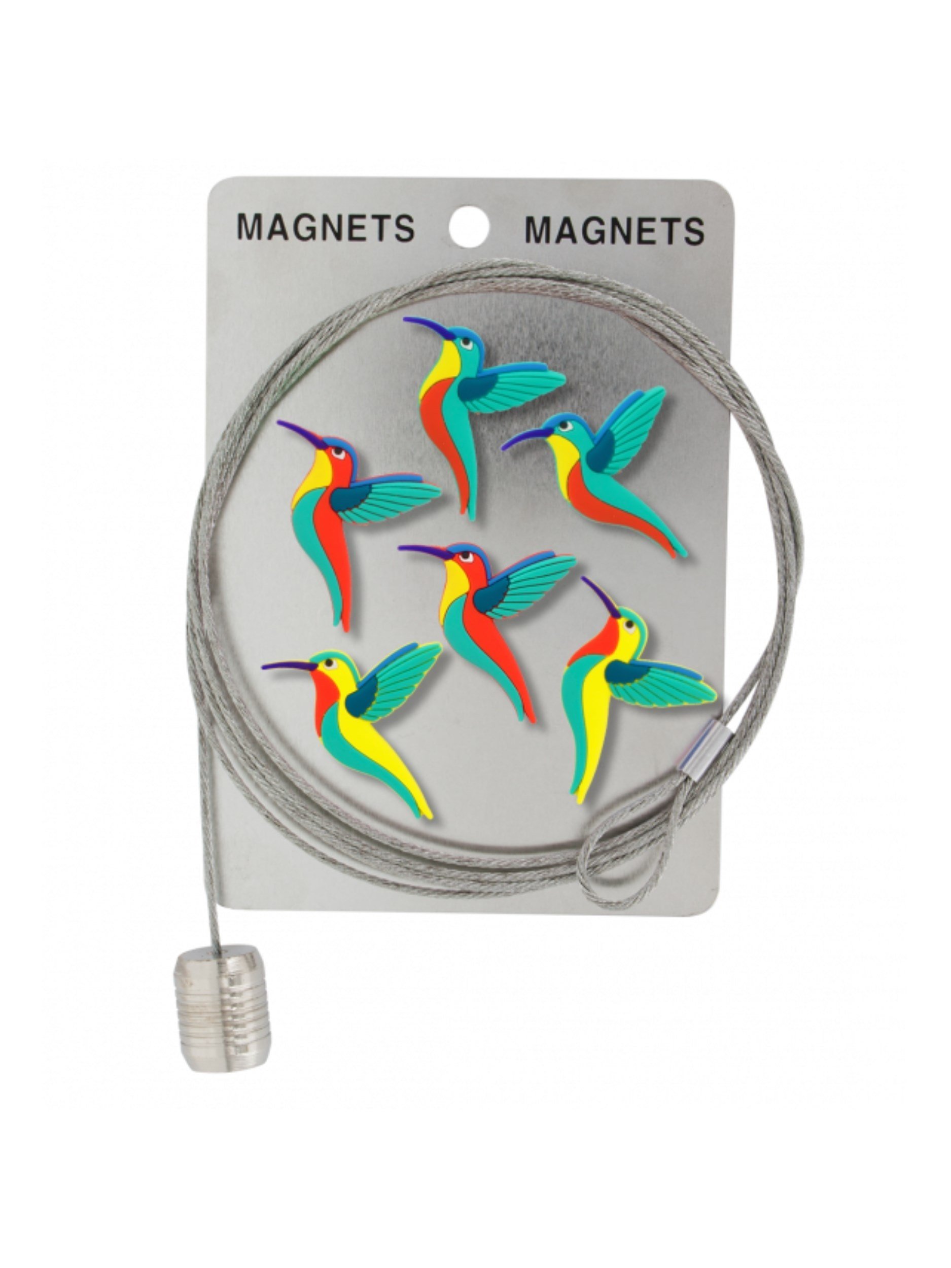Pylones Fotoğraf Askı Kablosu Ve Mıknatıslar - Magnetic Cable Sinek Kuşu