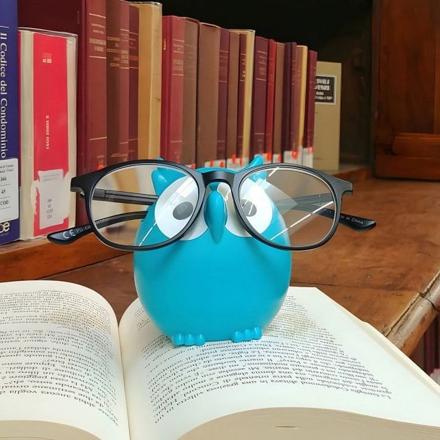 Pylones Gözlük Tutucu - Owl