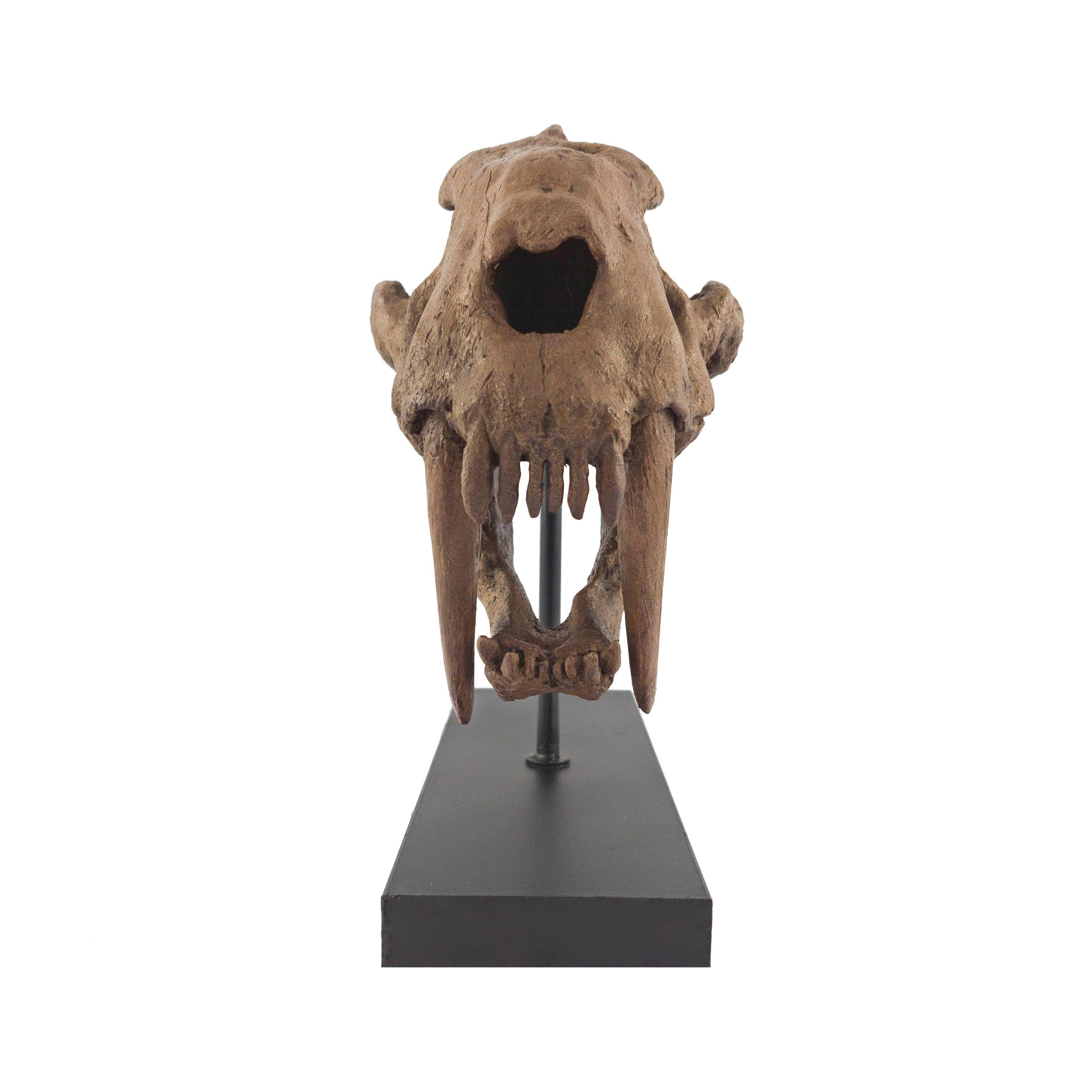 SaberTooth Heykeli