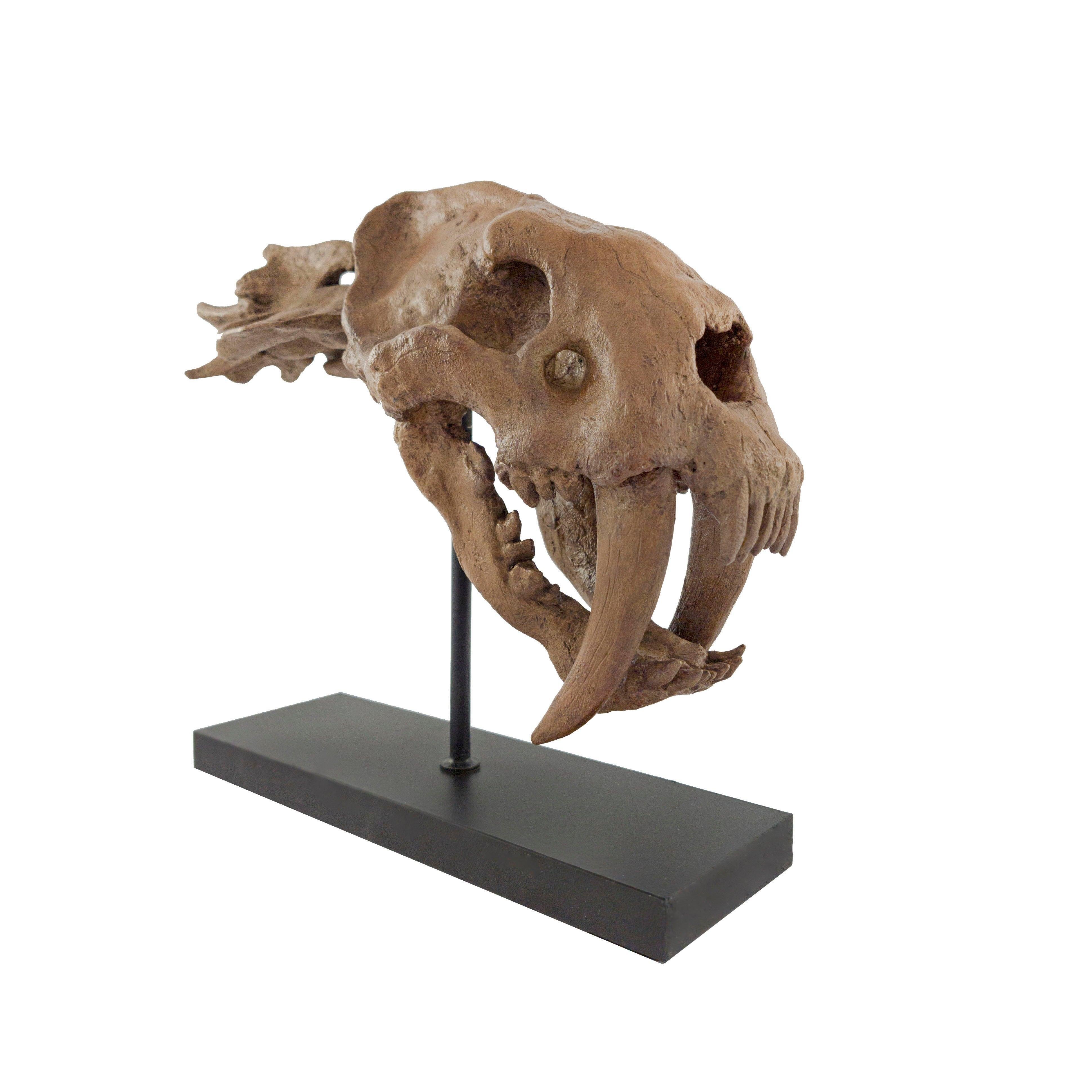 SaberTooth Heykeli