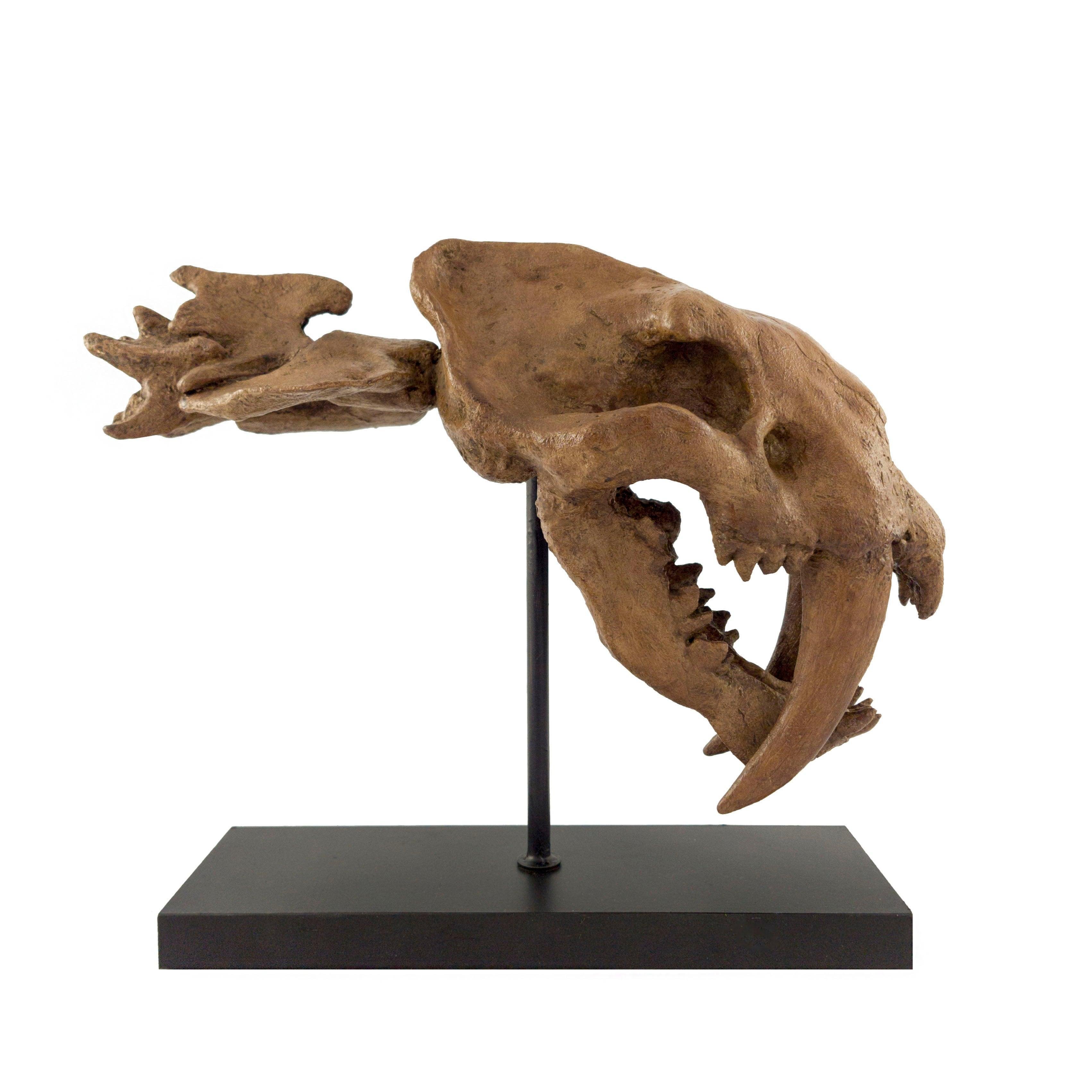 SaberTooth Heykeli