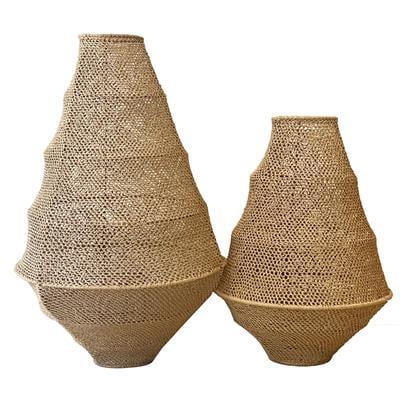 Sea Shell Sarkıt Aydınlatma