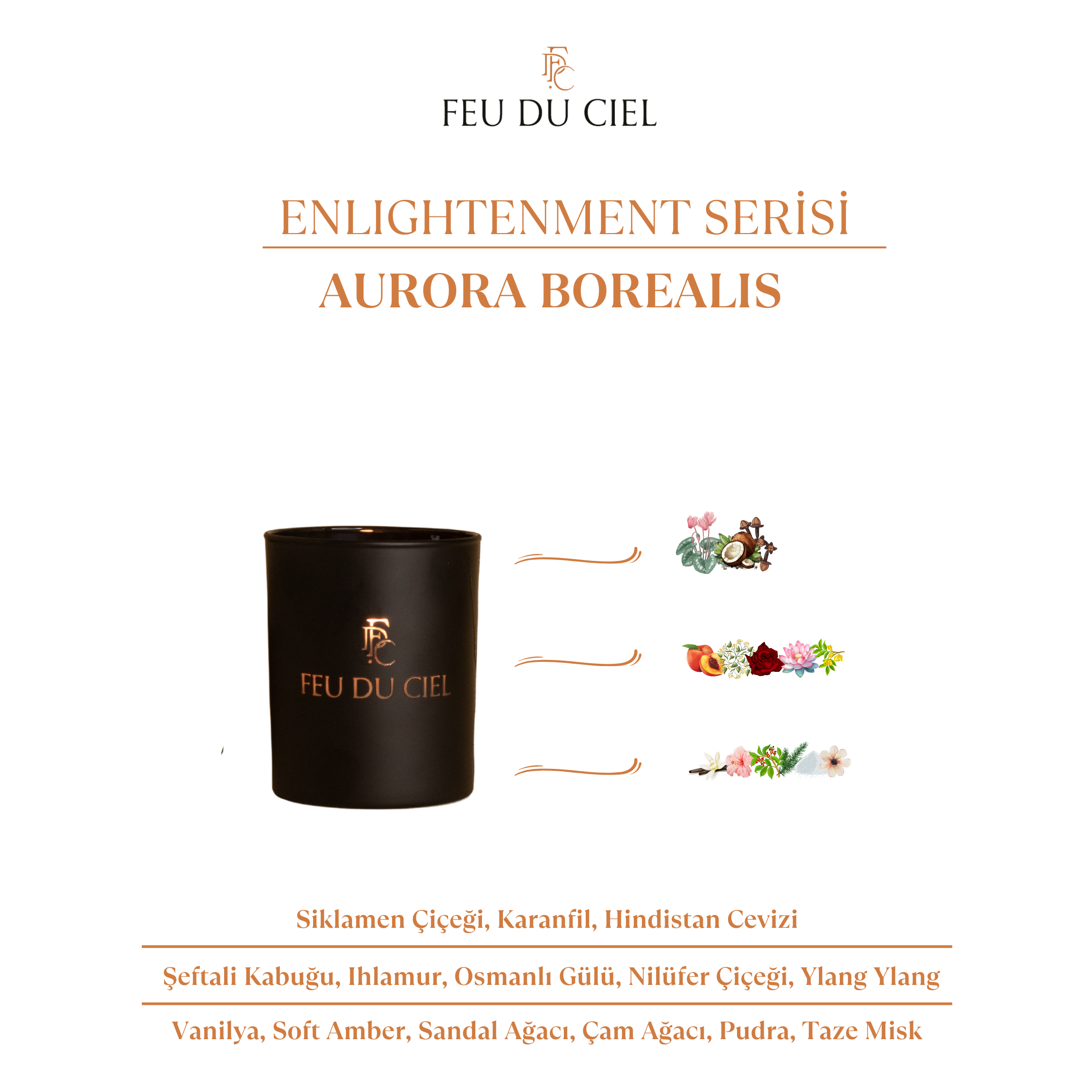 Signature Aurora Borealis Mum