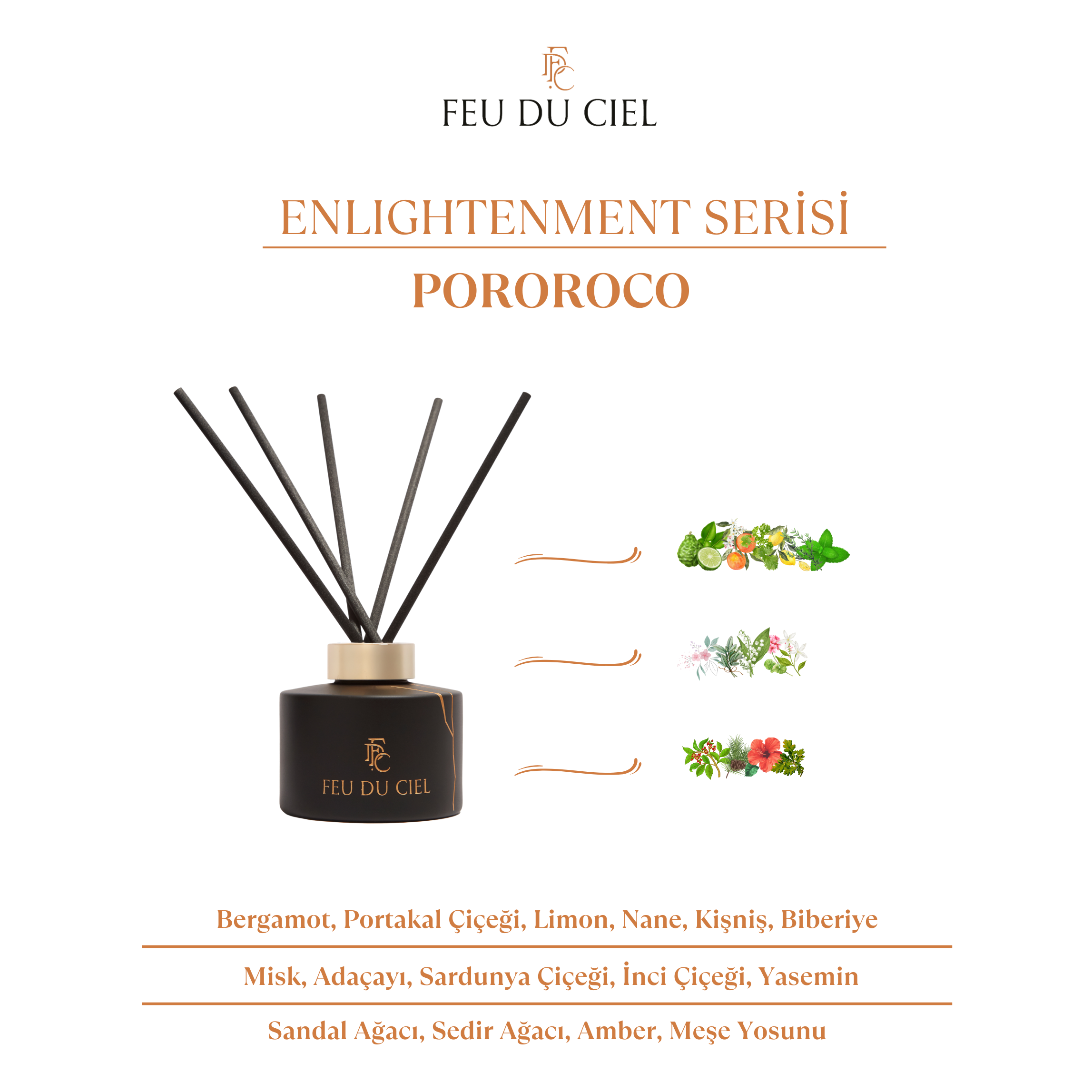 Signature Pororoco Oda Kokusu