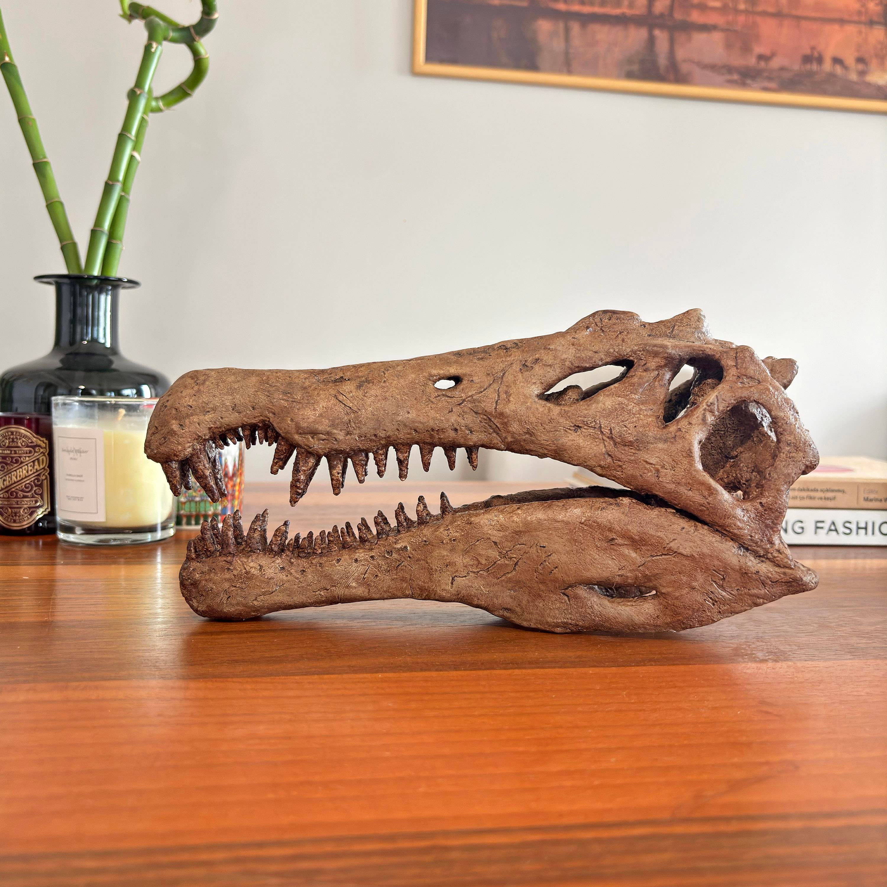 Spinosaurus Heykel