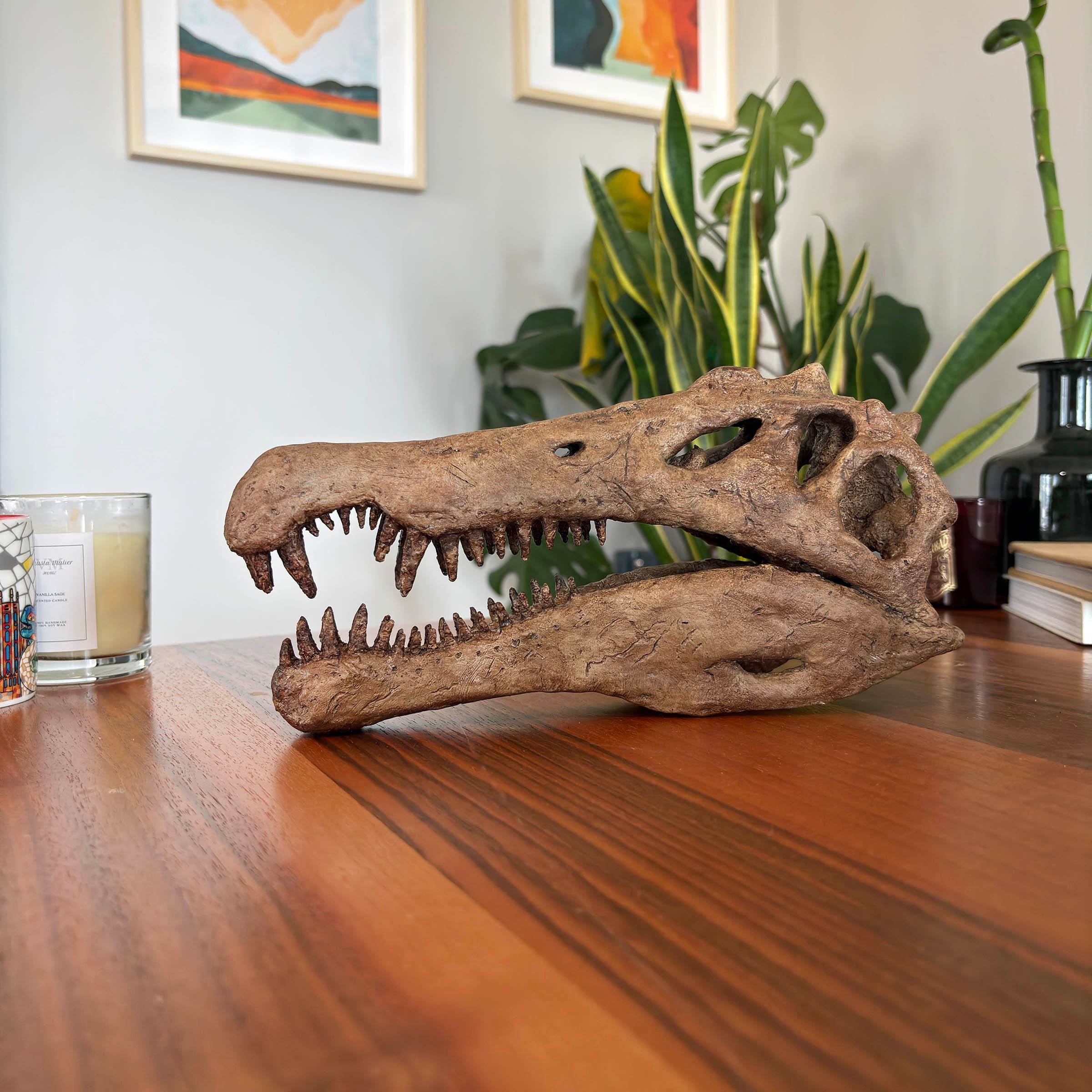 Spinosaurus Heykel