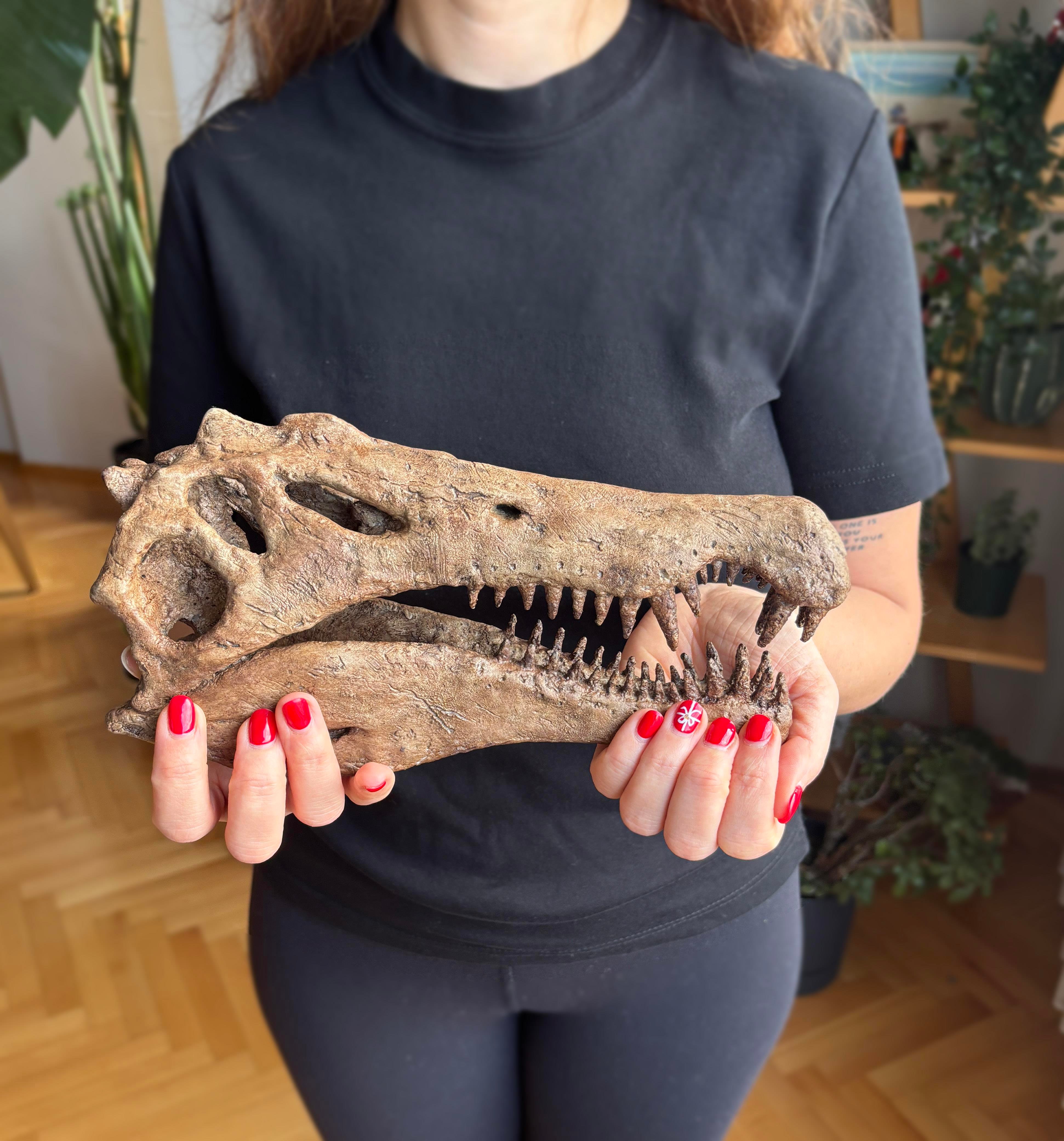 Spinosaurus Heykel
