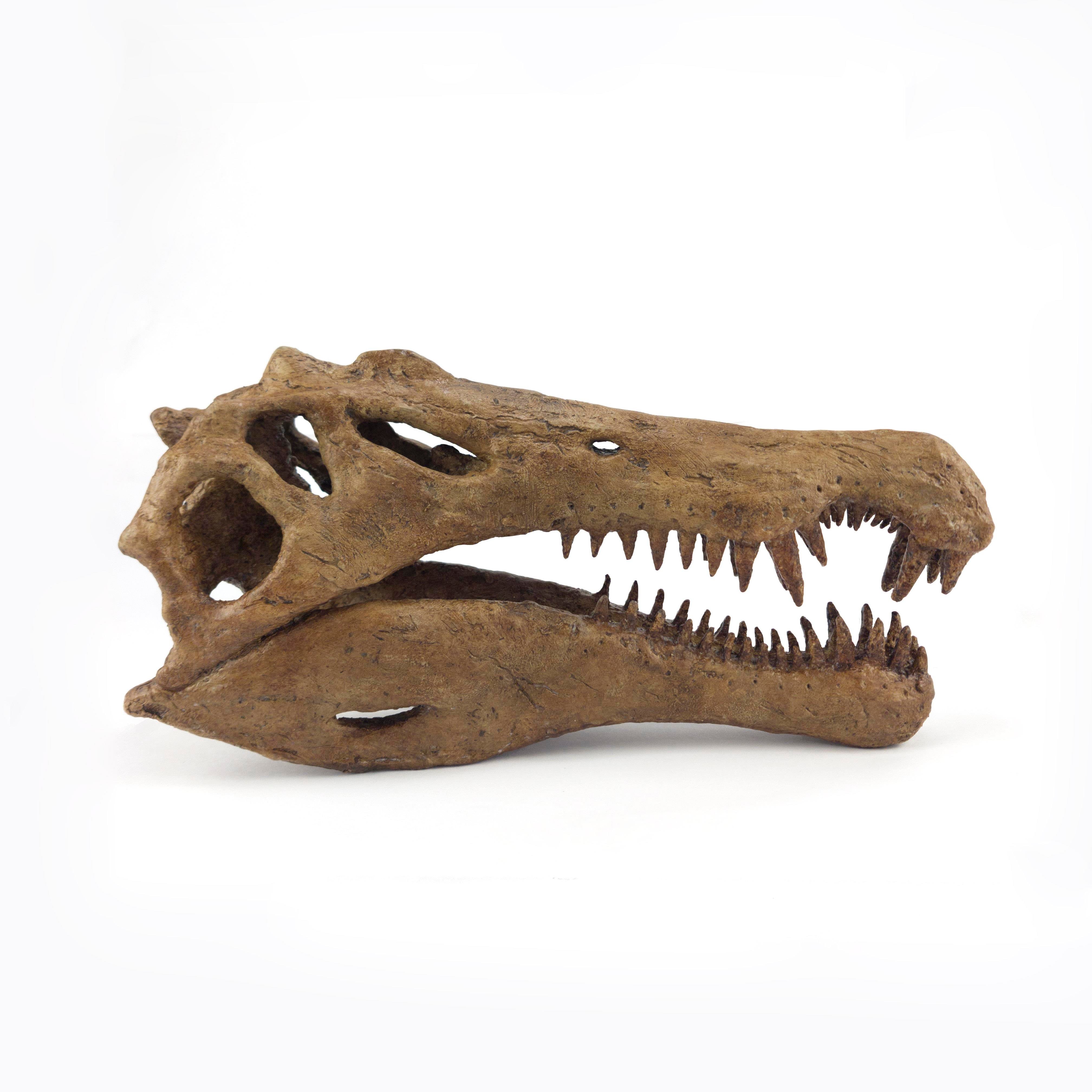 Spinosaurus Heykel