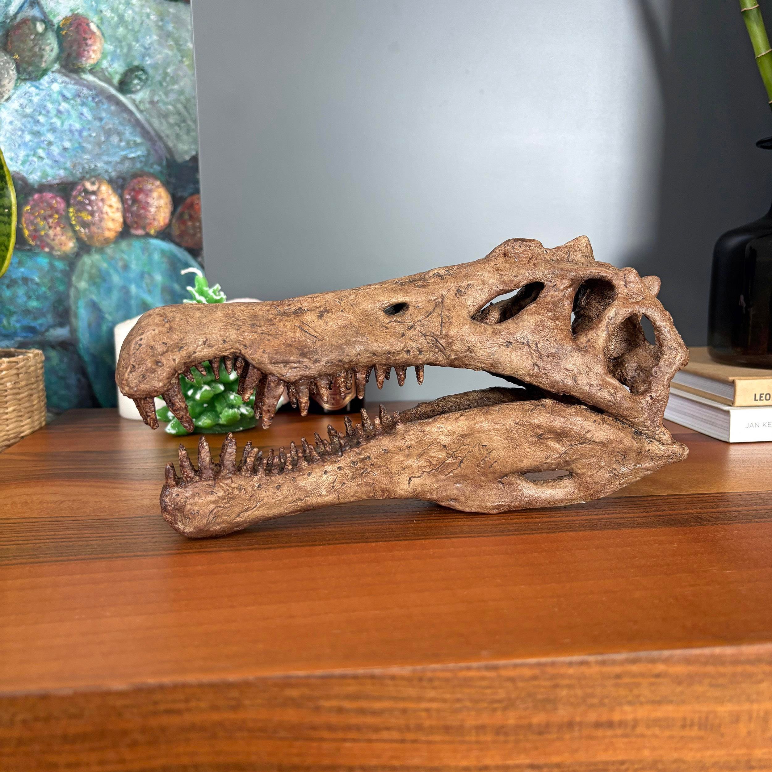 Spinosaurus Heykel